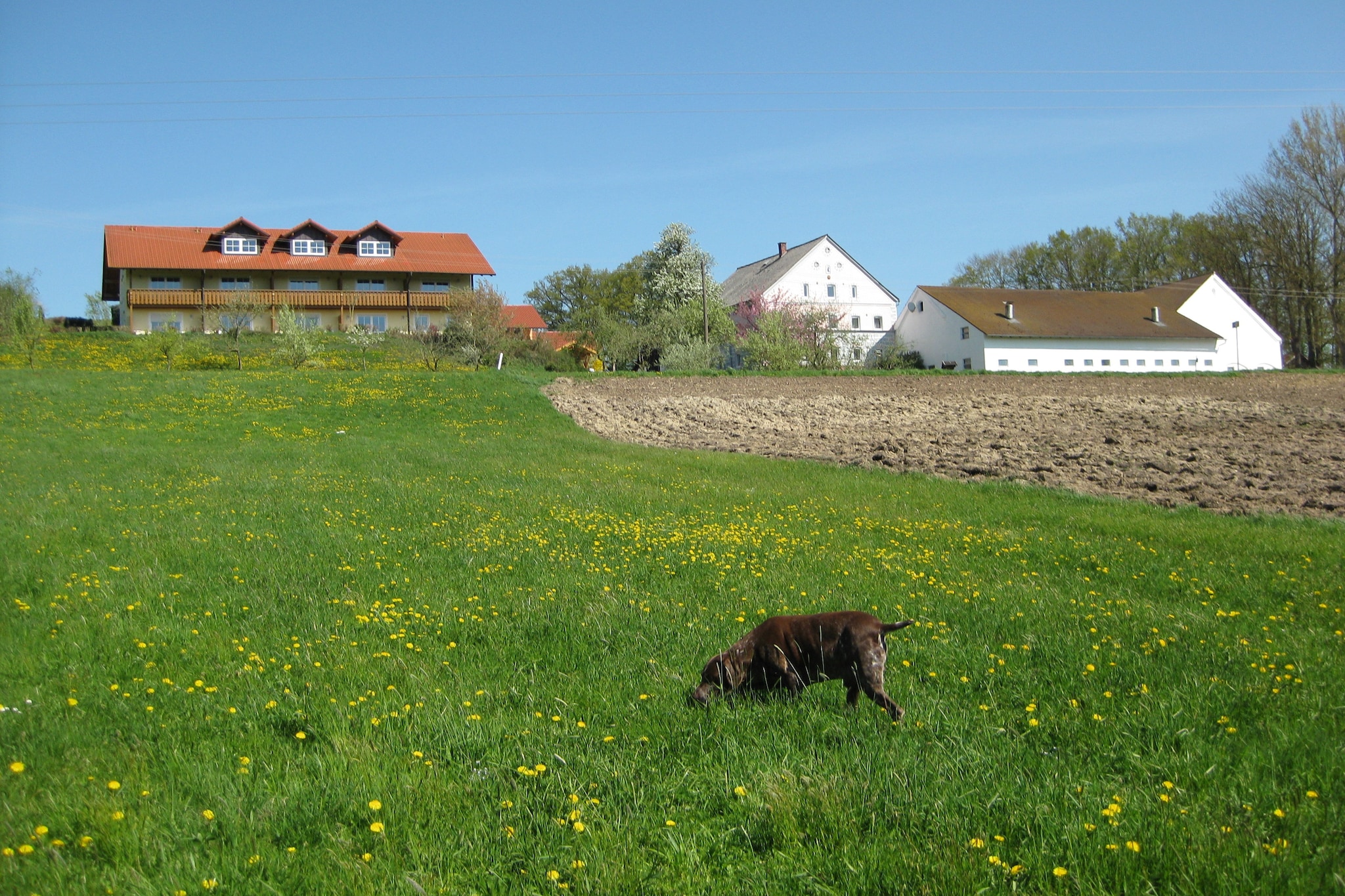 Am Ferienhof-Tuinen zomer