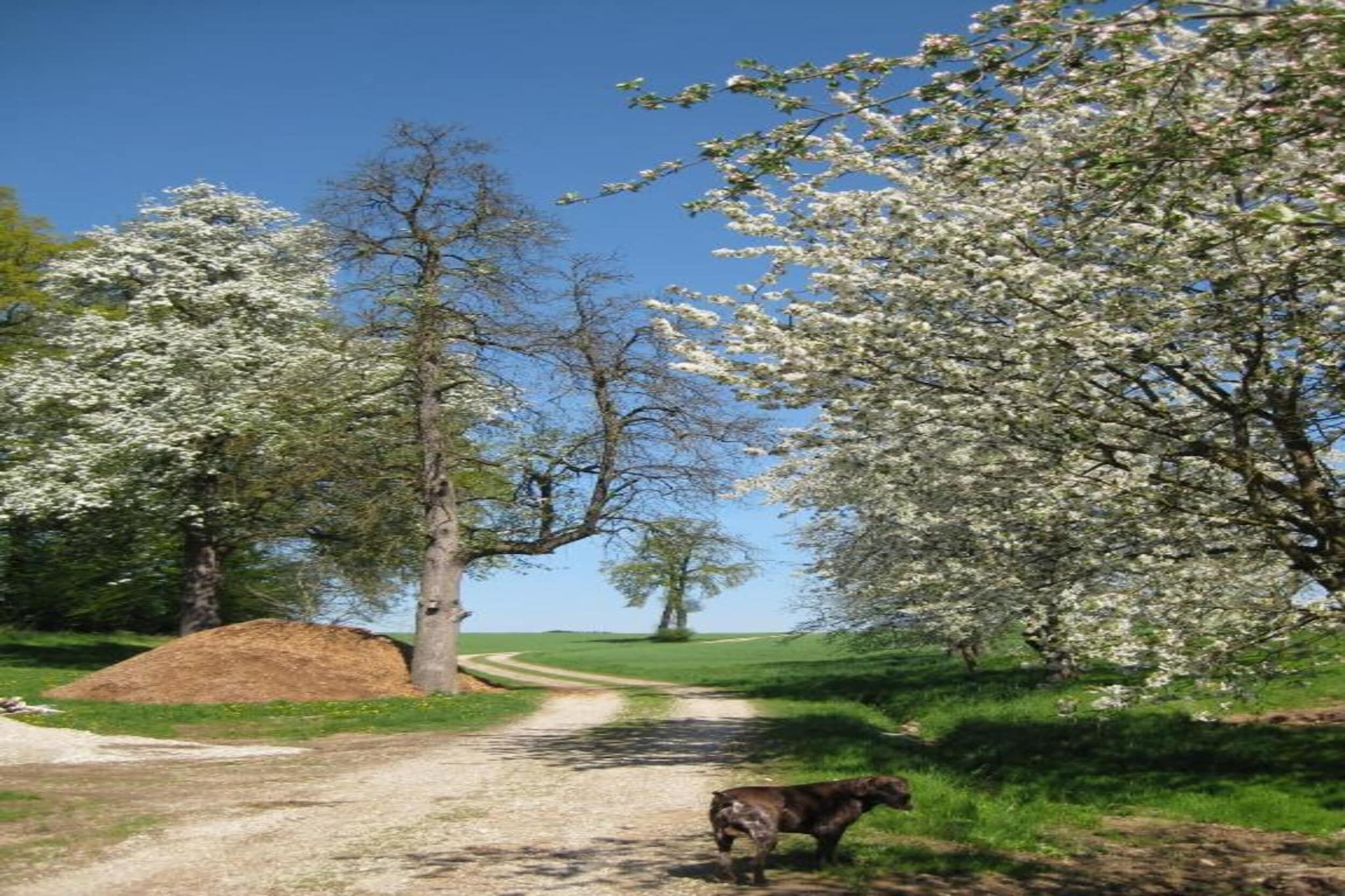 Am Ferienhof-Gebieden zomer 20km