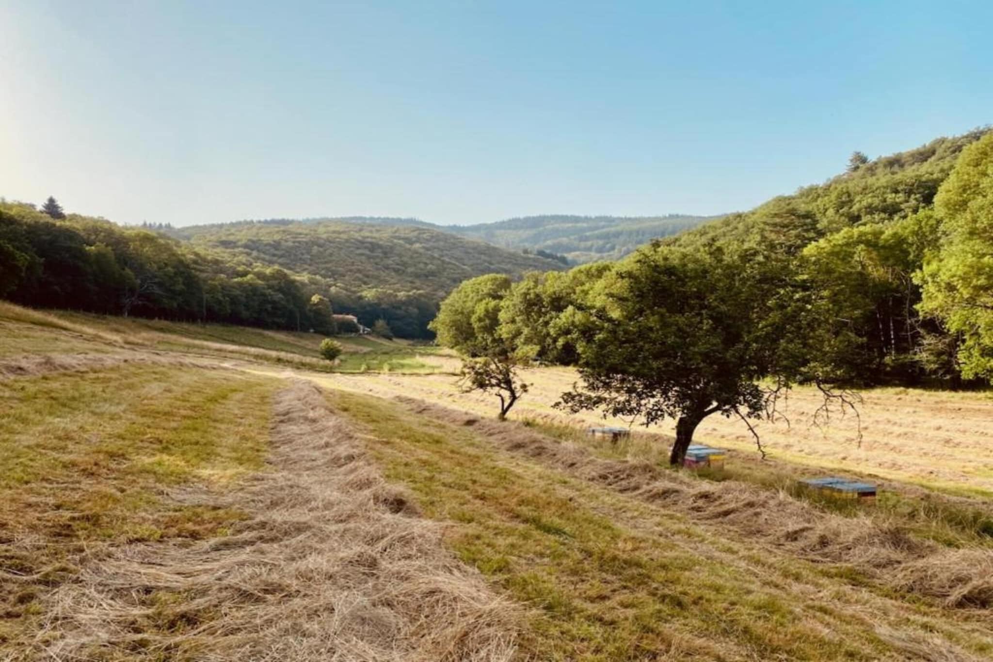 Domaine Courniou-Gebieden zomer 5km