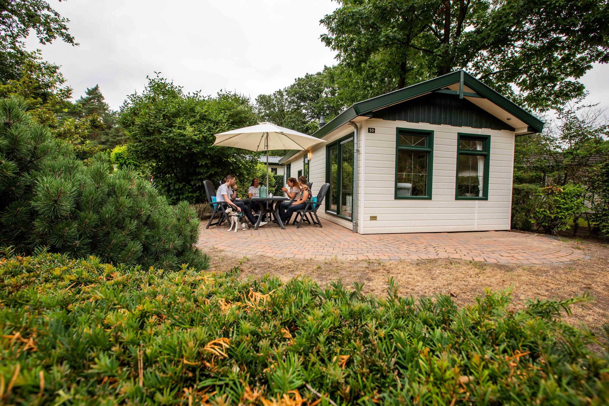 Comfortable chalet in the middle of De Veluwe