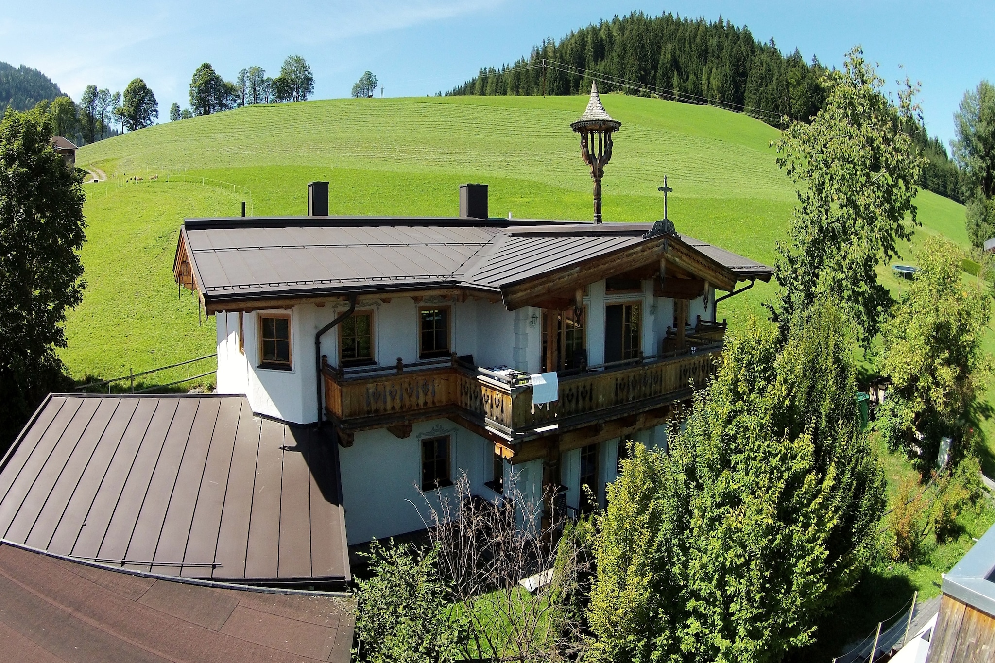 Salvenblick