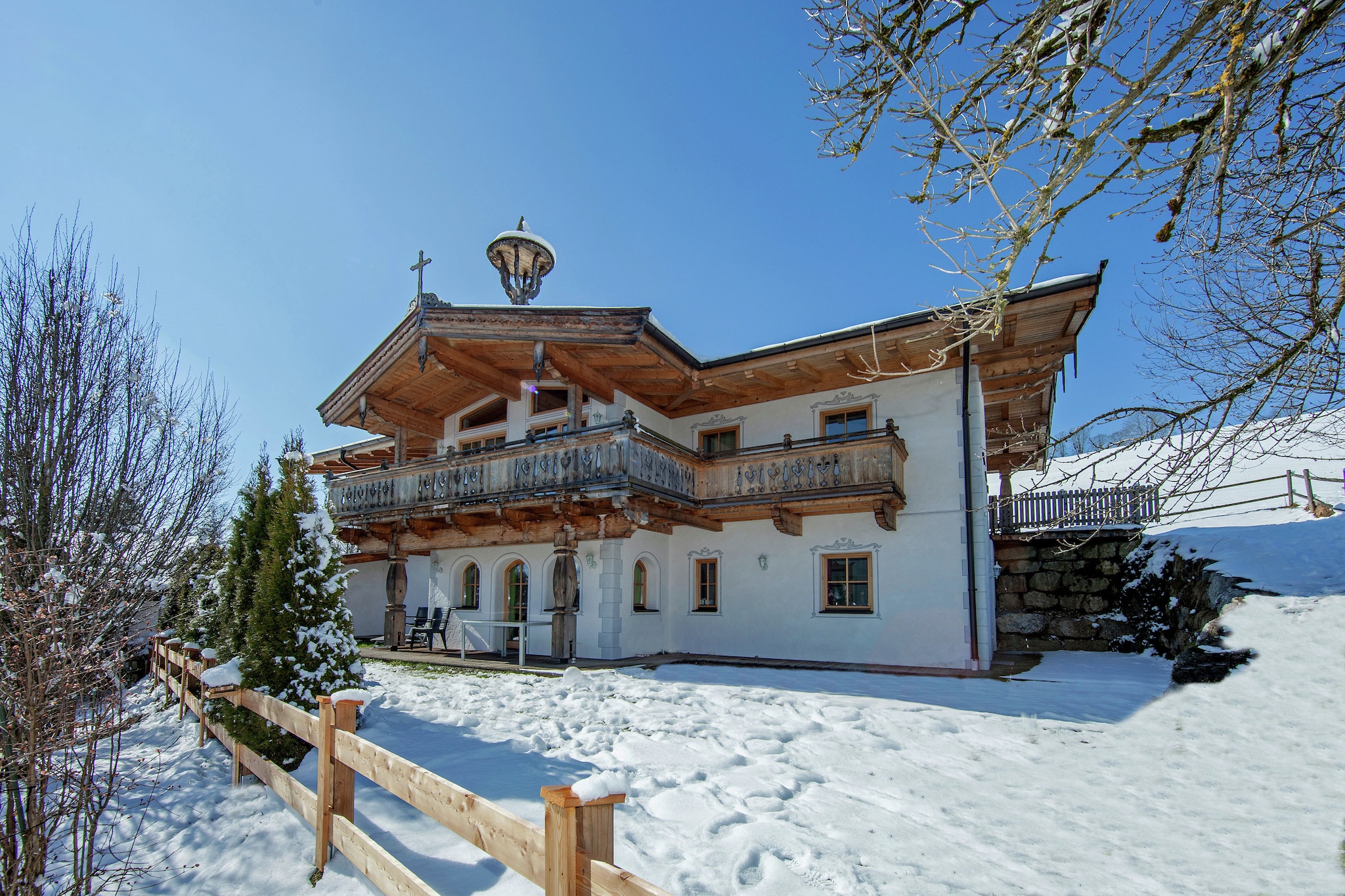 Salvenblick