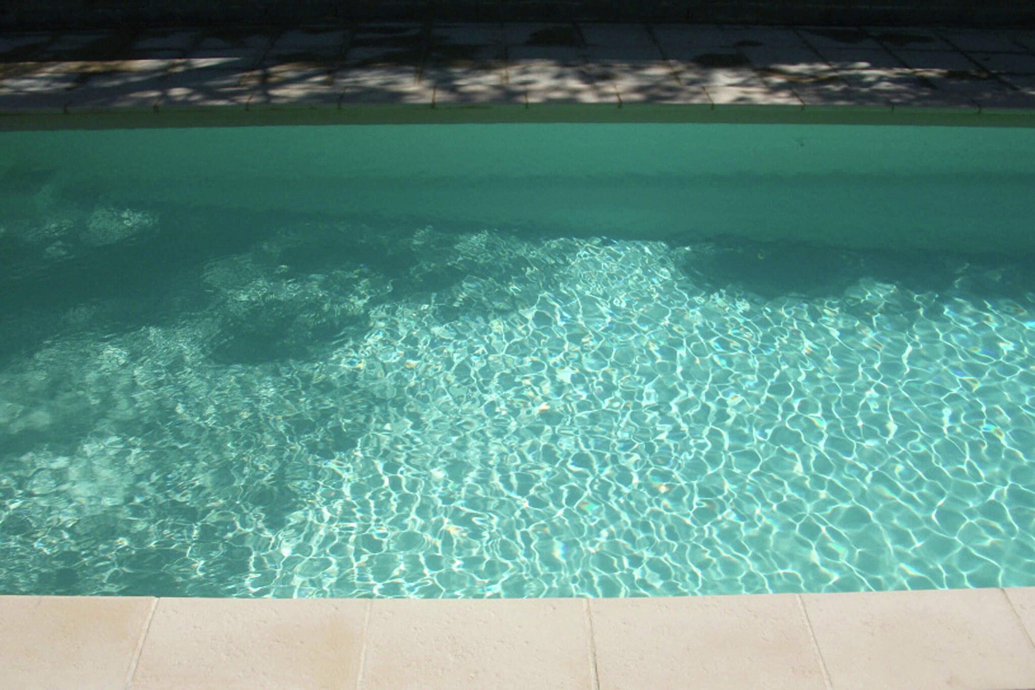 Lacerta-Piscine