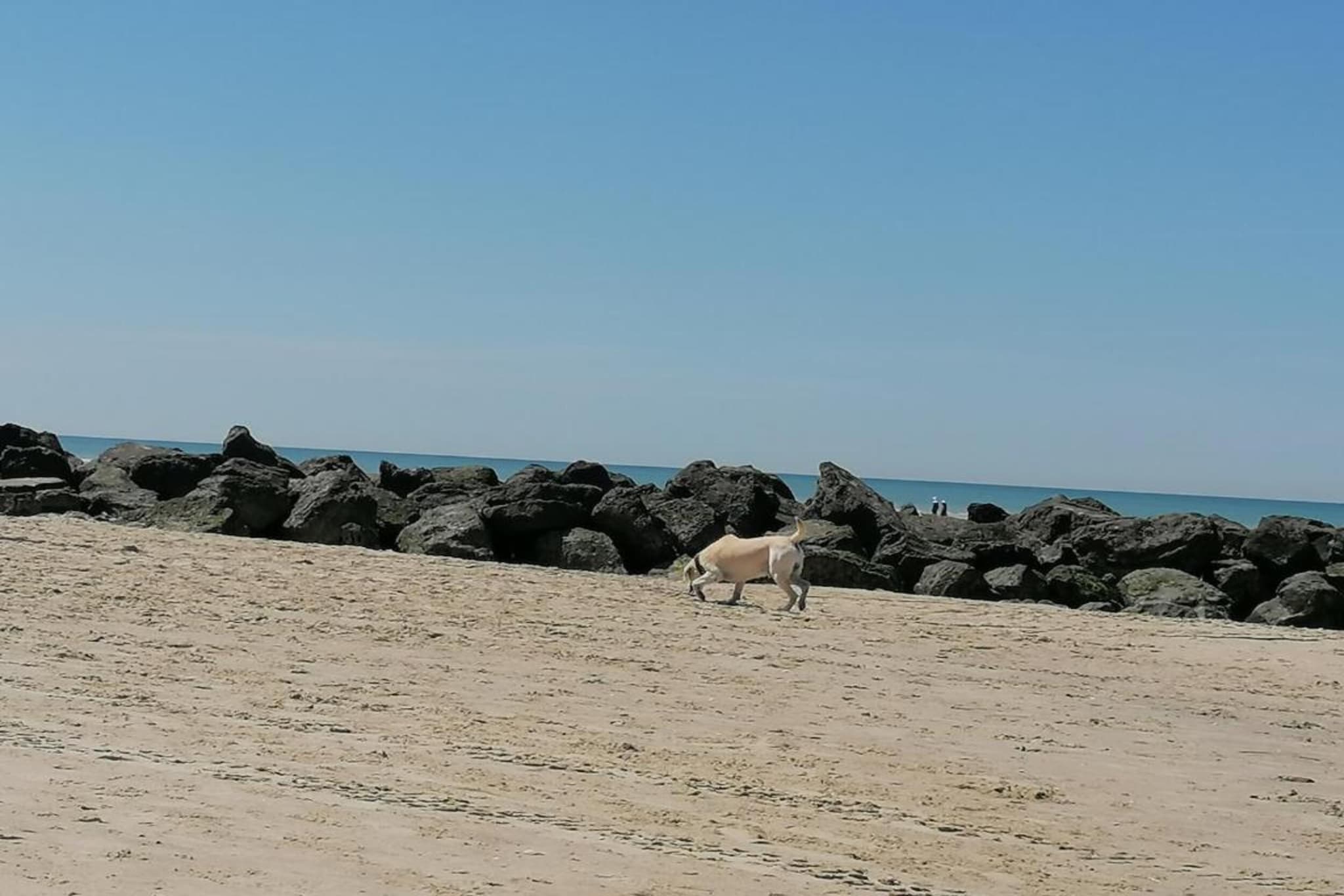 Hardelot - Equihen 3-Areas summer 1km
