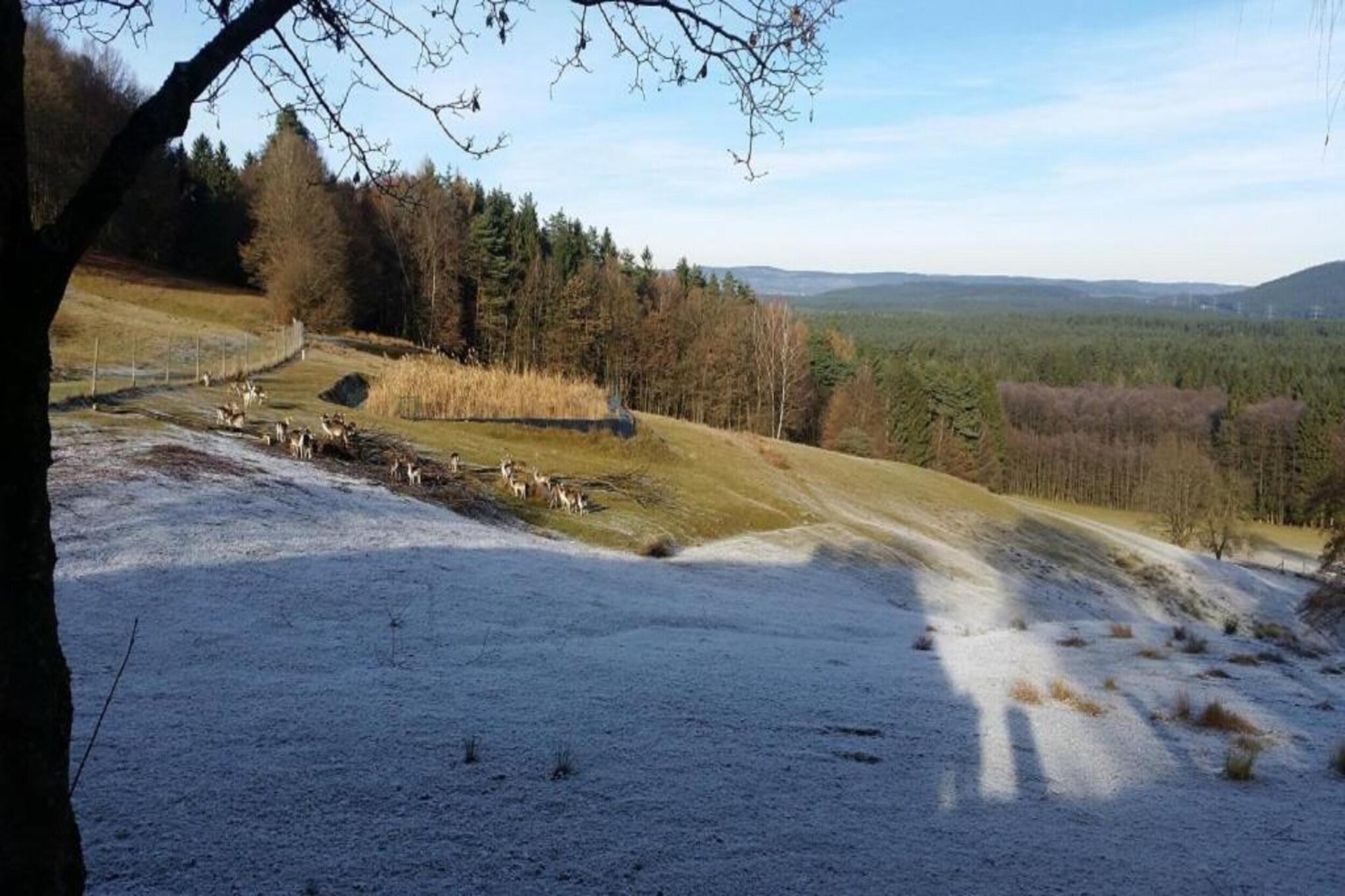 Burggrub-Gebied winter 5km
