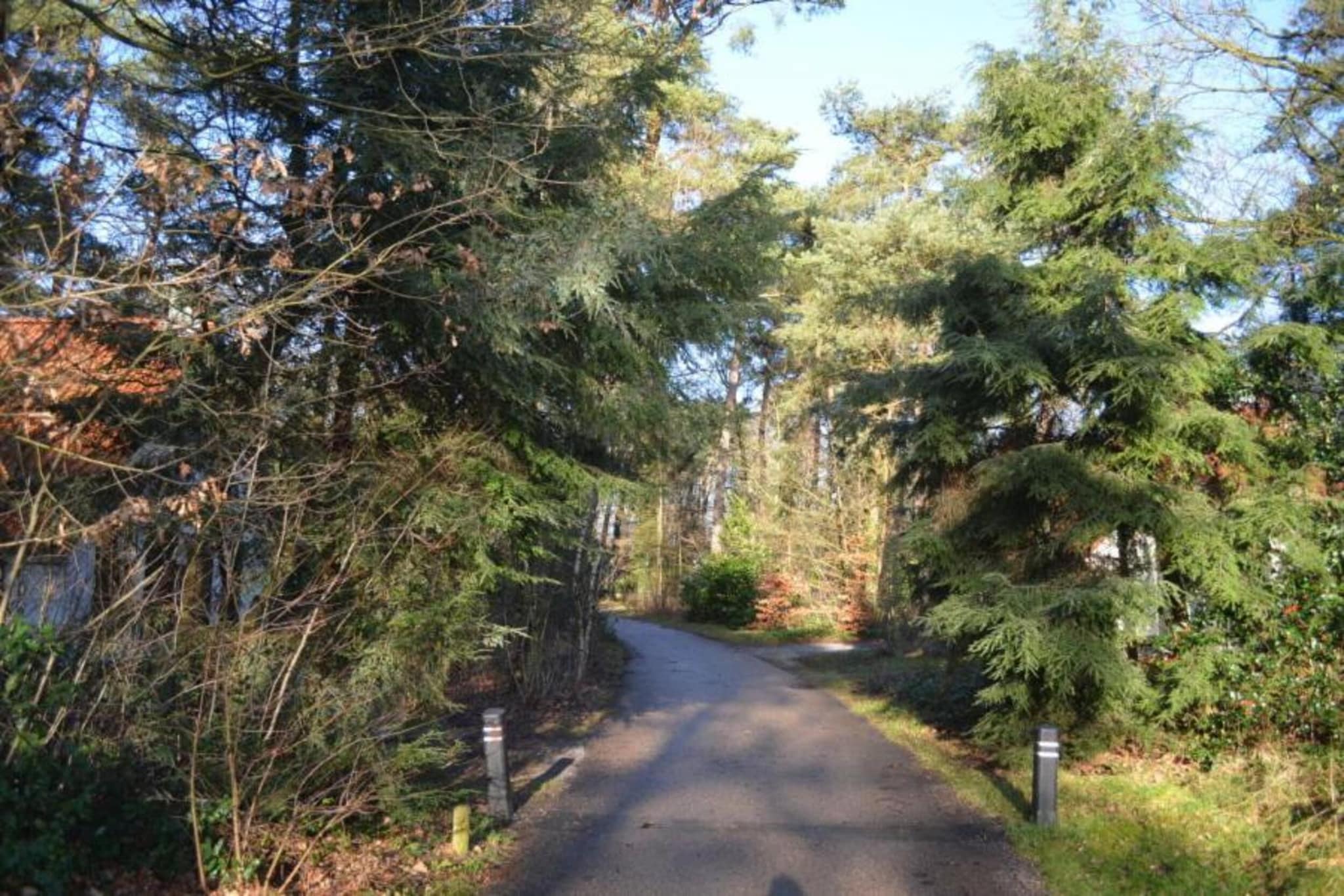 Vakantiepark de Vossenburcht 4-Gebiete Sommer 20 km