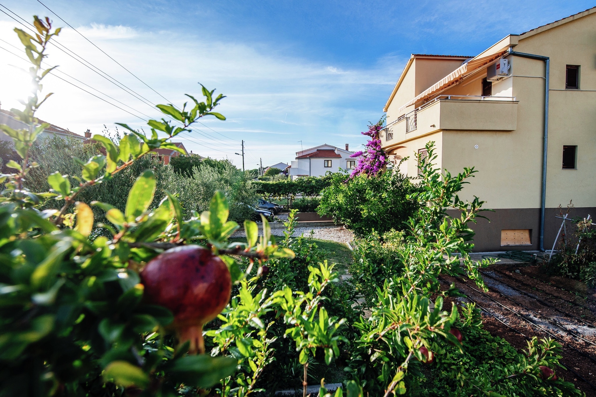 Apartment Matea Biograd - Gardens in summer