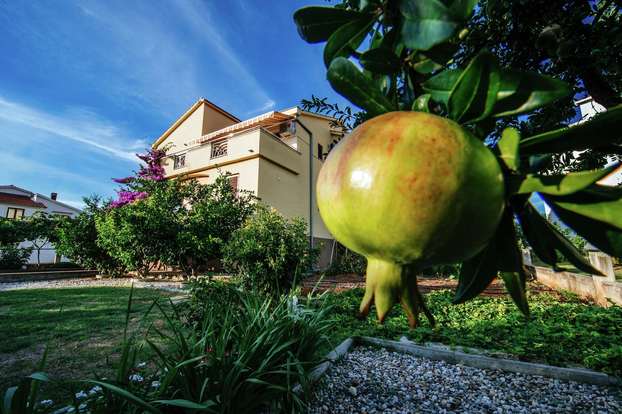 Apartment Matea Biograd - Ambiance