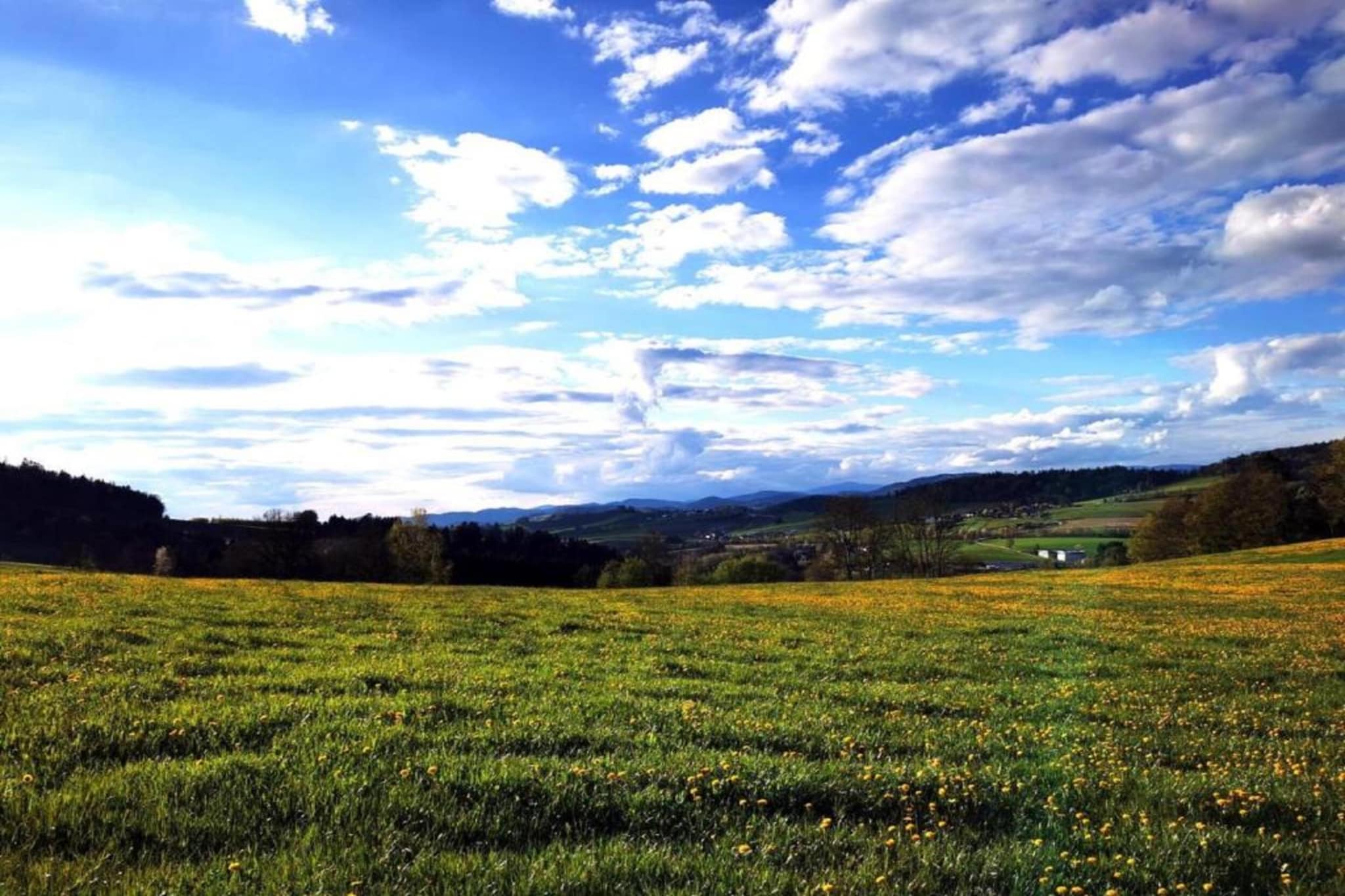 Bernhardsberg-Zones d'été à 5 km