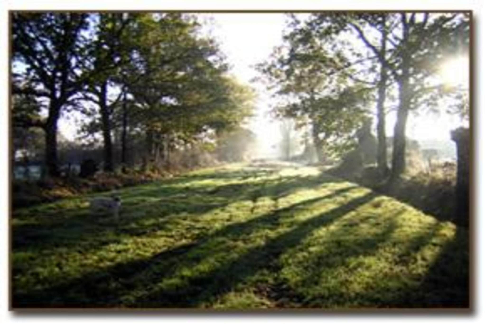 Maison de vacances St Laurent des Mortiers-Gebieden zomer 20km