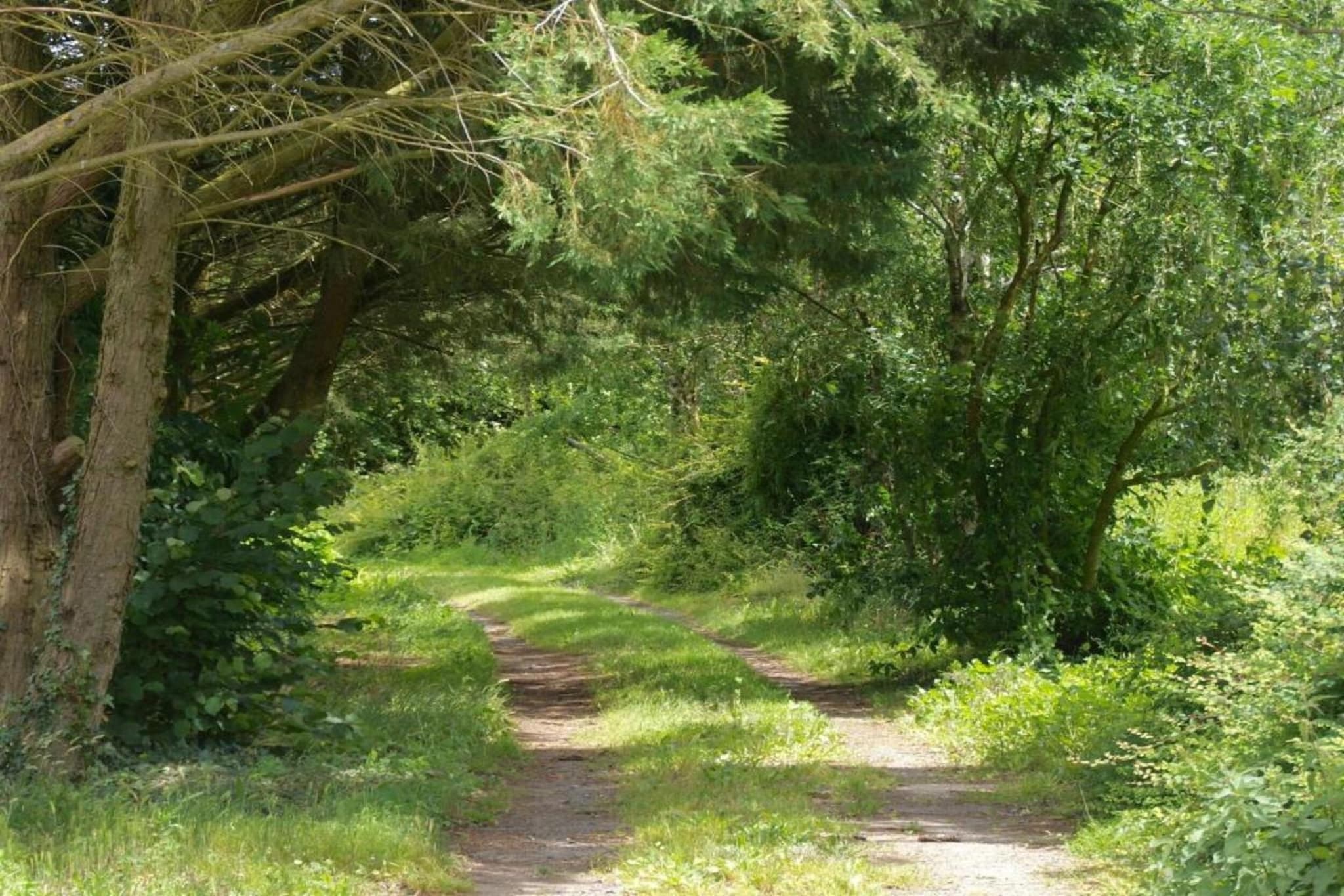 Maison de vacances St Laurent des Mortiers-Gebieden zomer 20km
