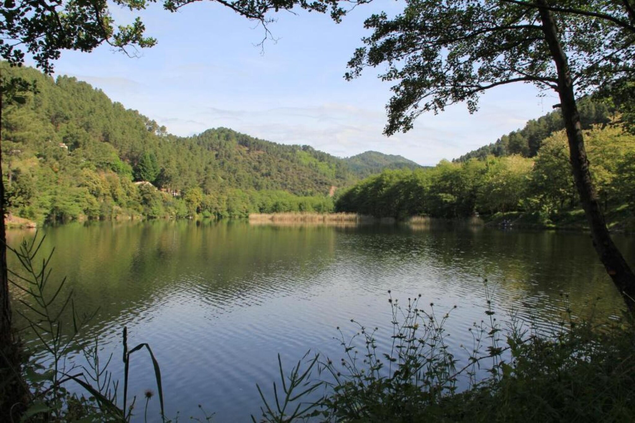 Maison de vacances - SEIGNEULLES-Gebieden zomer 5km