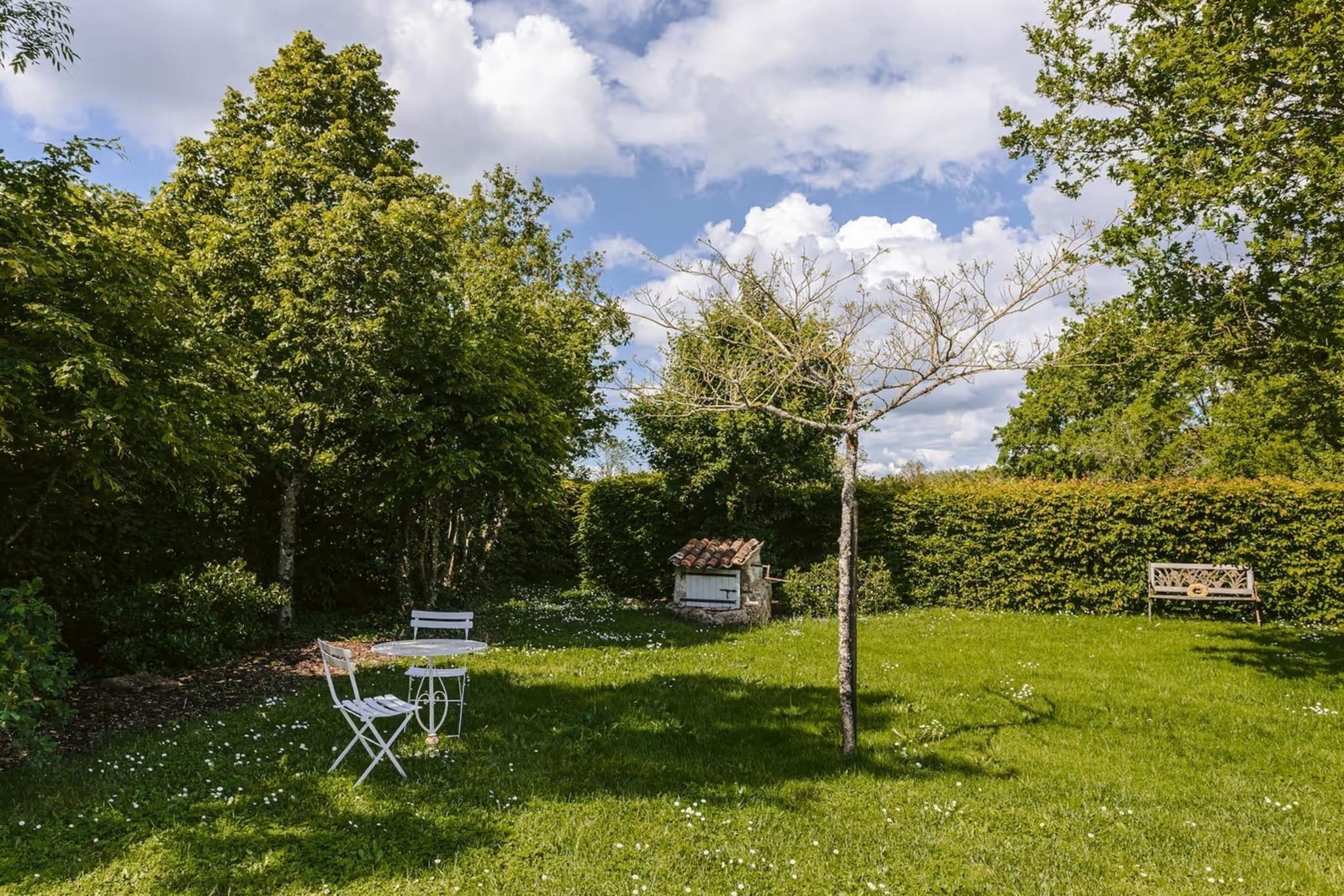 Garden Summer