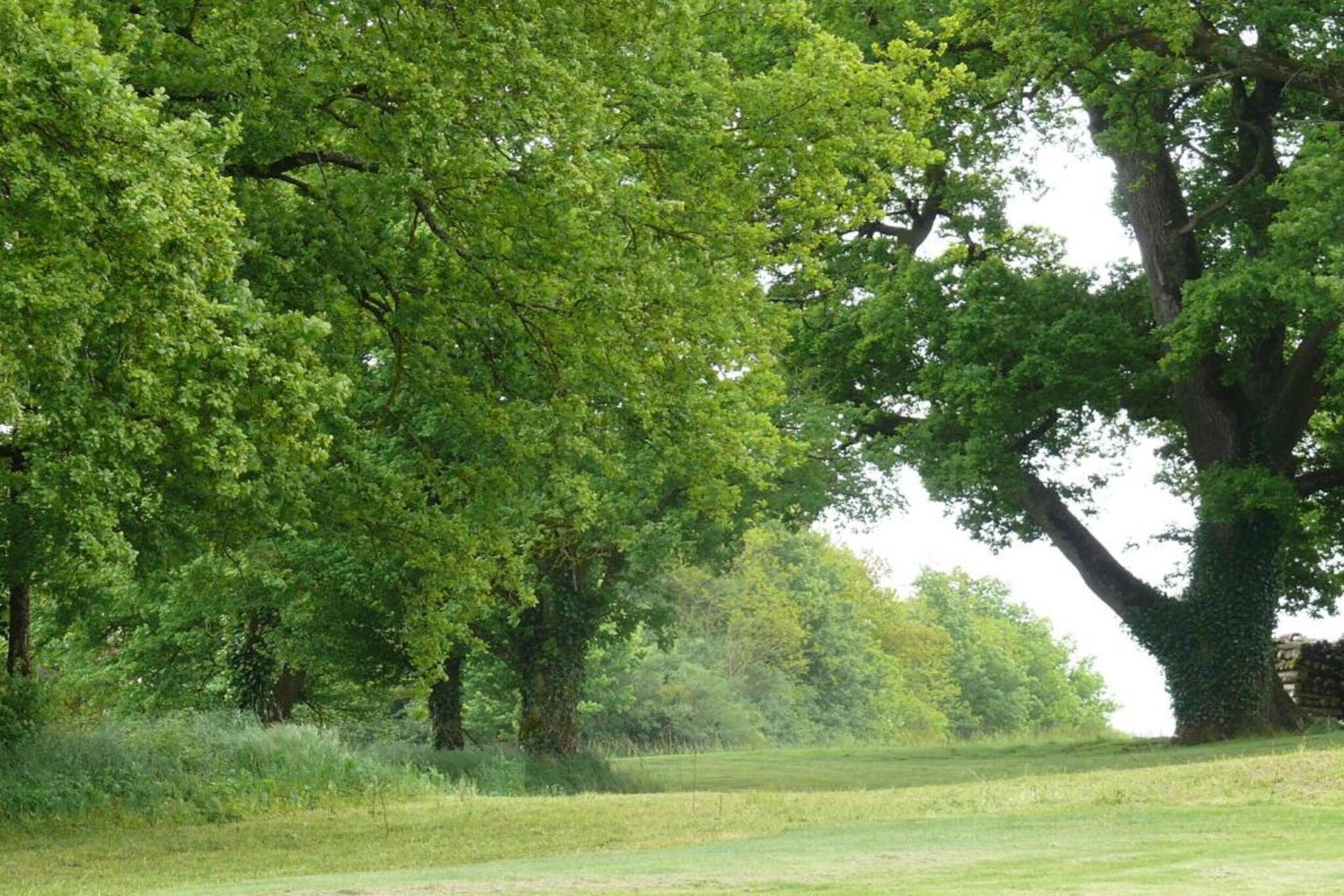 La Campagne-Gebieden zomer 5km