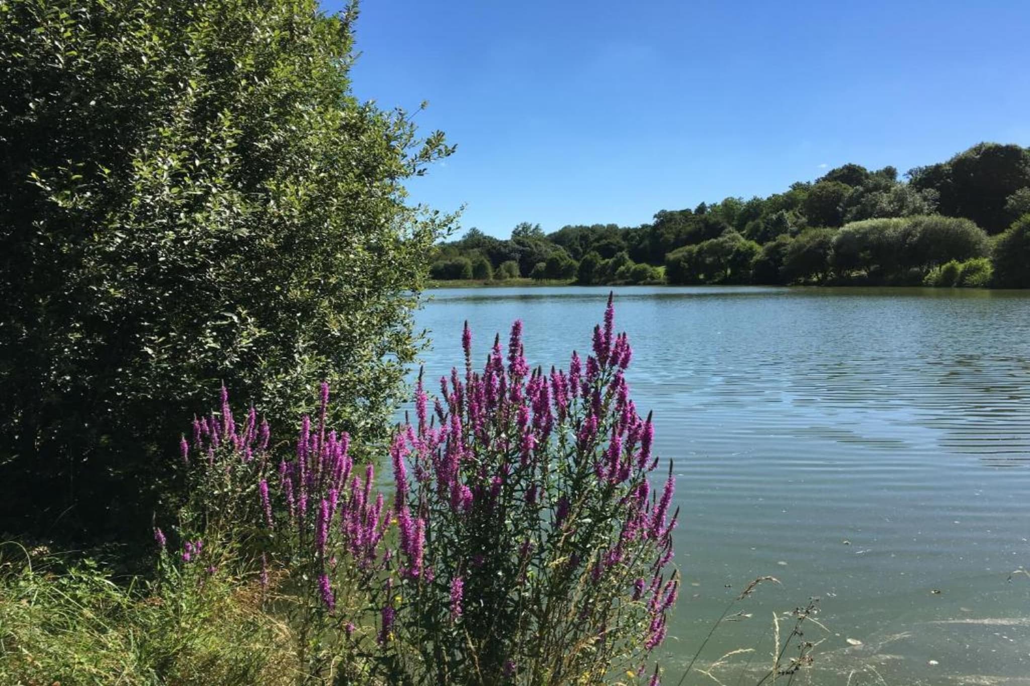 L'Orangerie-Gebieden zomer 20km