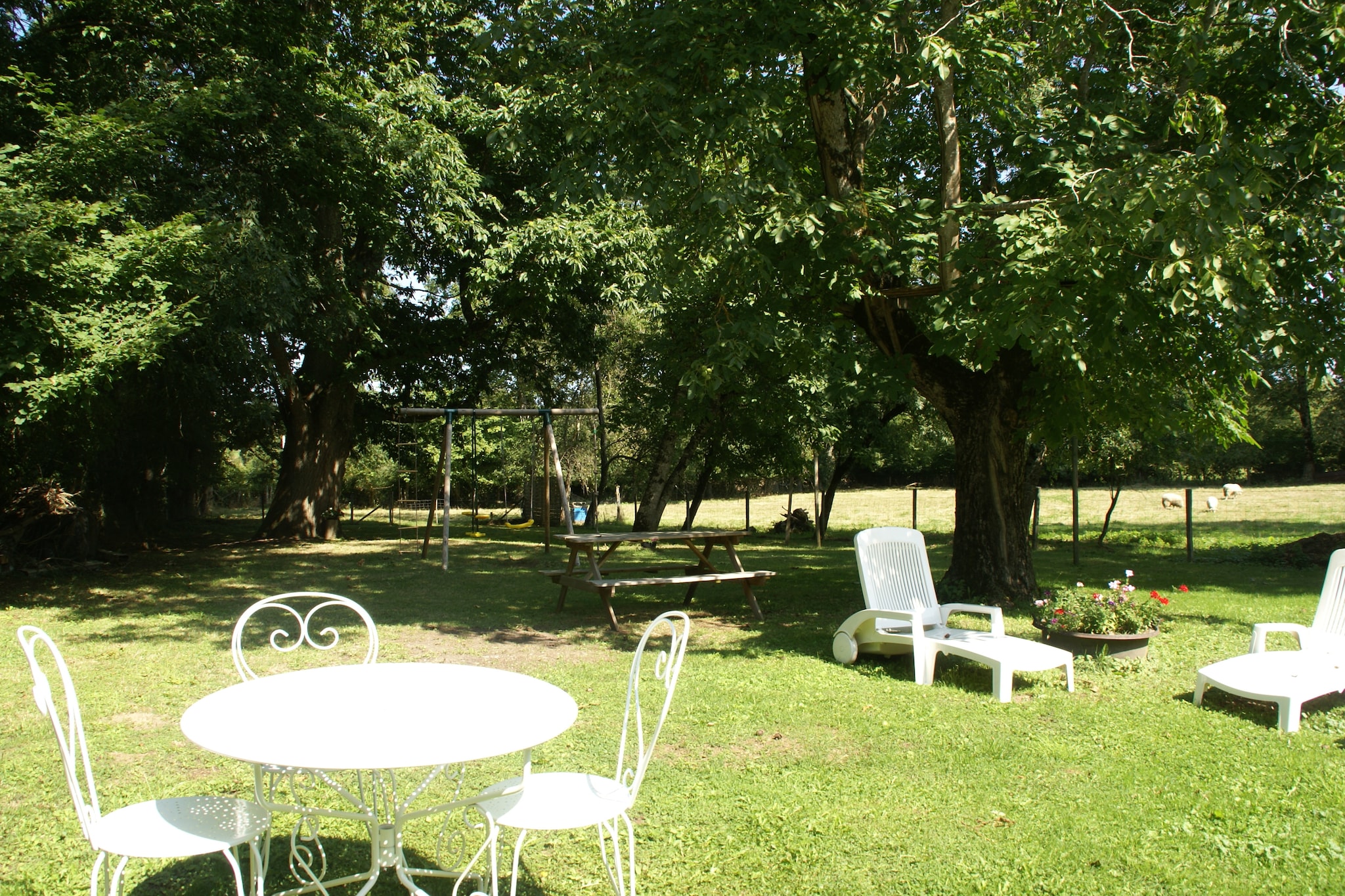 Maison de vacances - SAINT-MERD-LA-BREUILLE - Gardens in summer