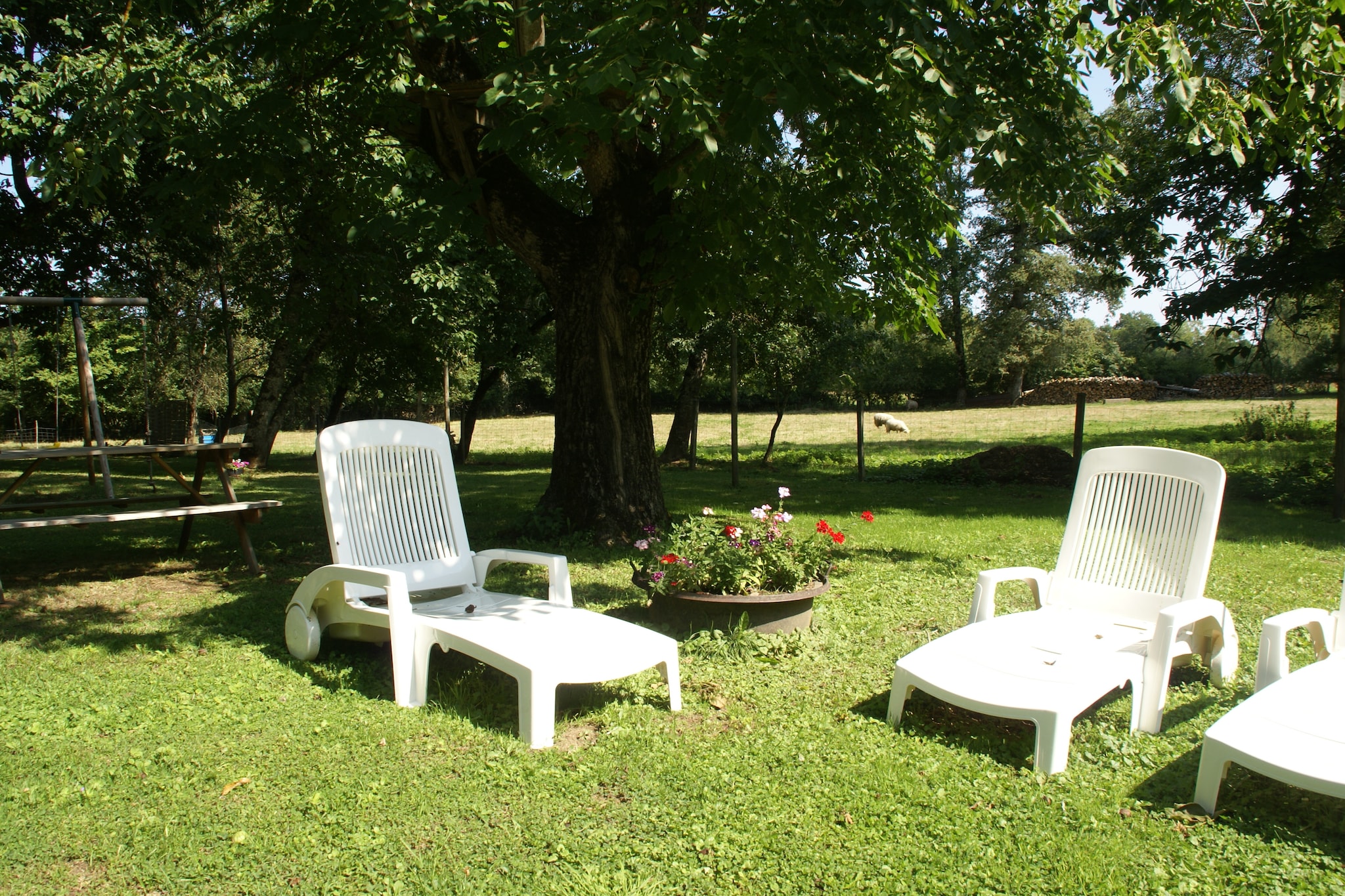 Maison de vacances - SAINT-MERD-LA-BREUILLE - Gardens in summer