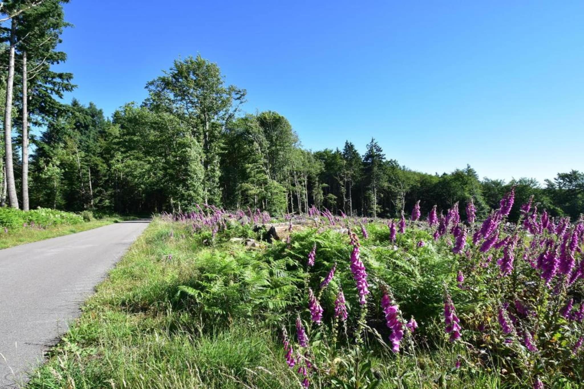 Maison de vacances Vignol-Gebieden zomer 20km