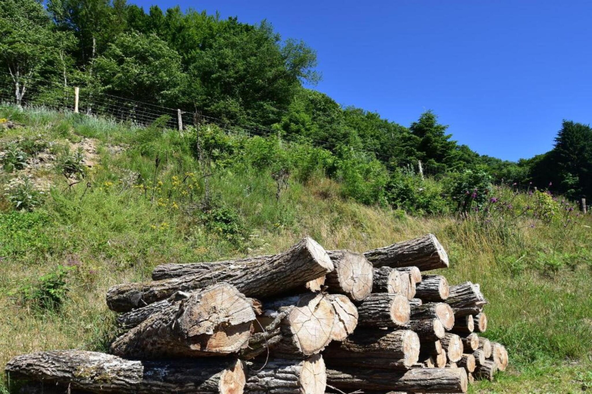 Maison de vacances Vignol-Gebieden zomer 20km