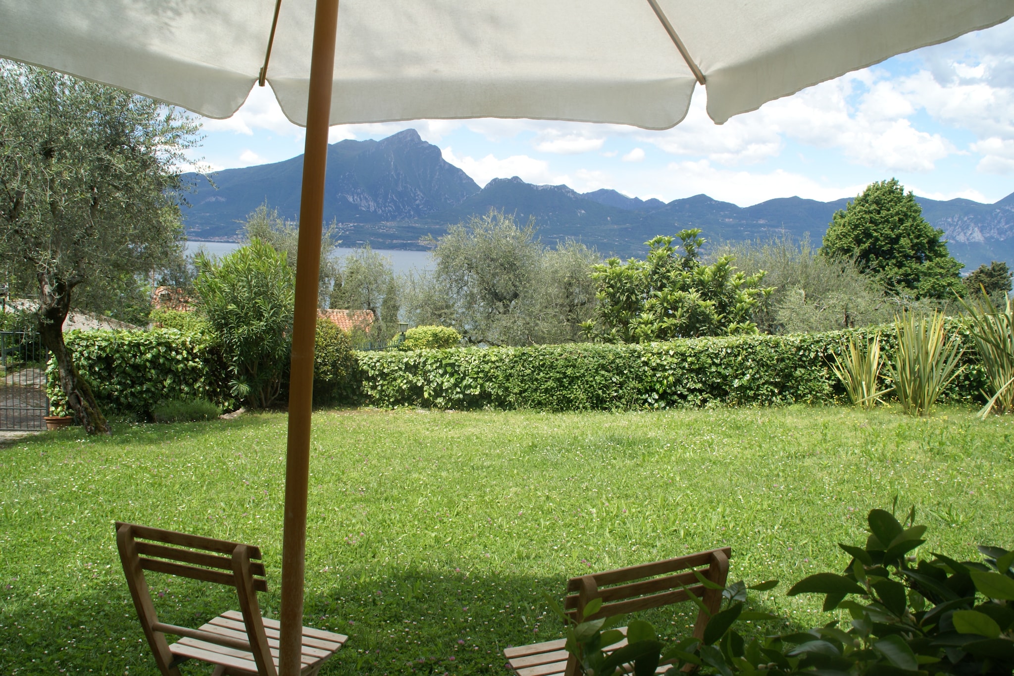 Garden Summer