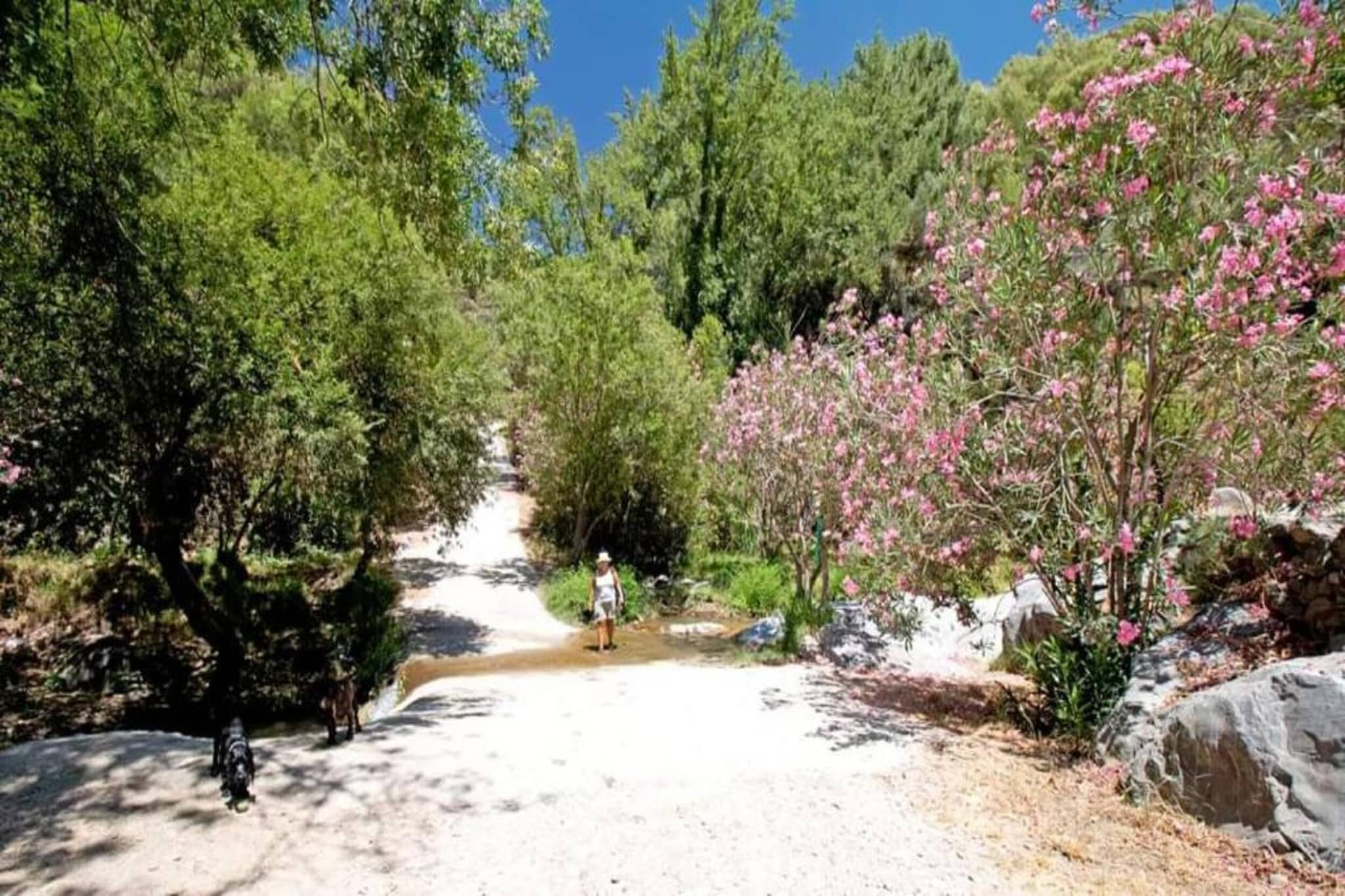 El Kedel-Areas summer 20km