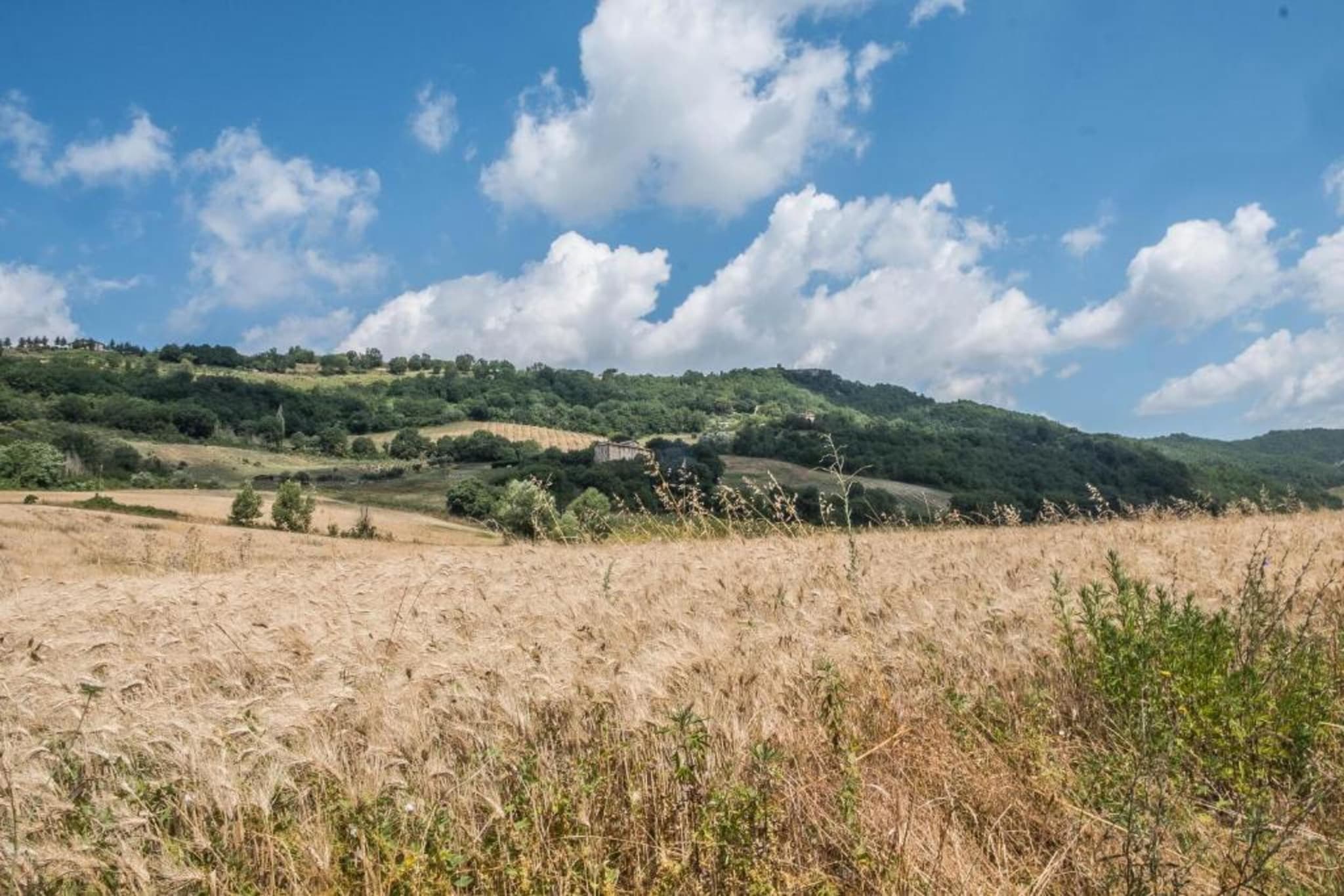 Villa Monte Acuto-Gebieden zomer 5km