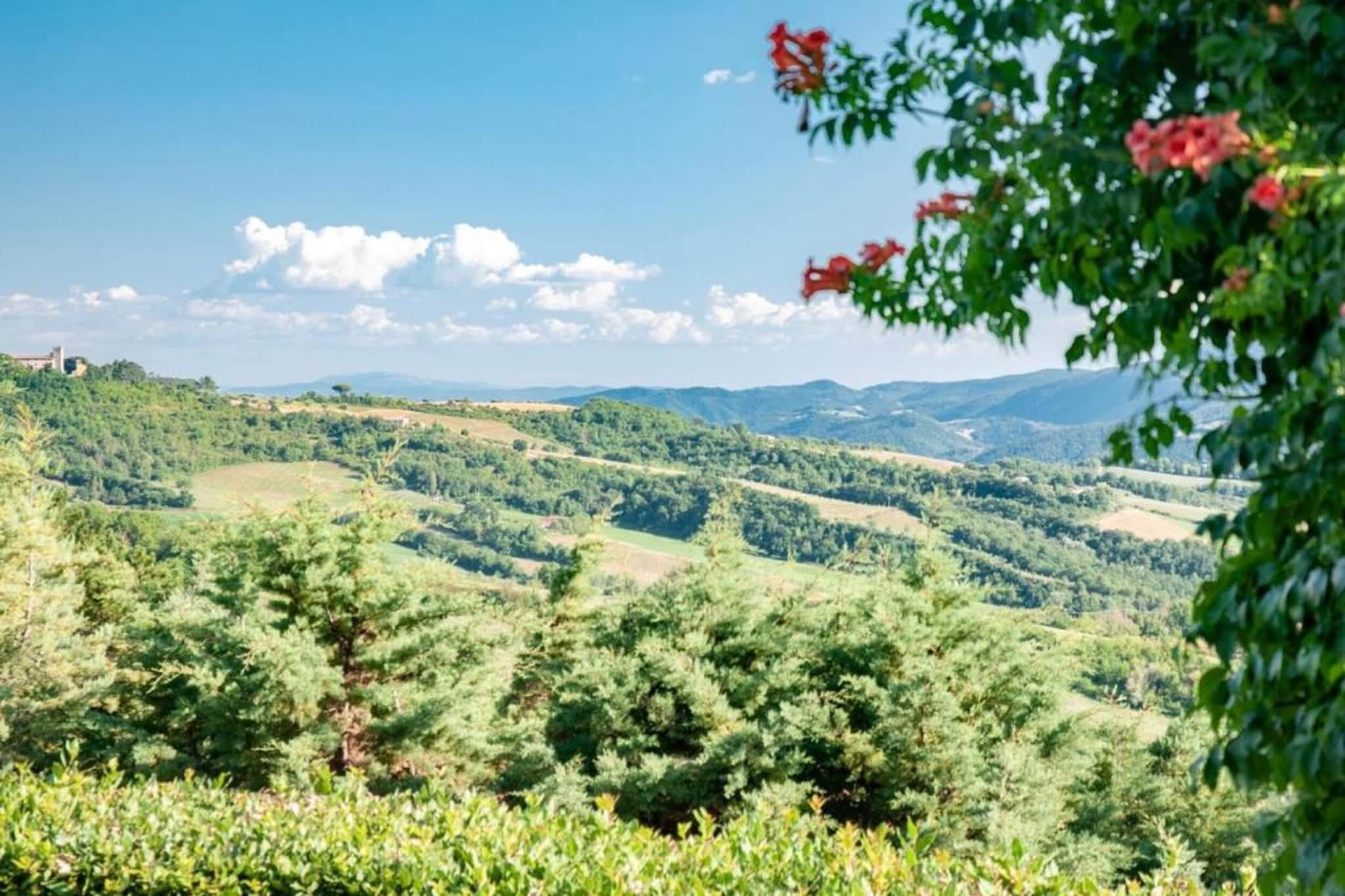 Villa Monte Acuto-Gebieden zomer 5km