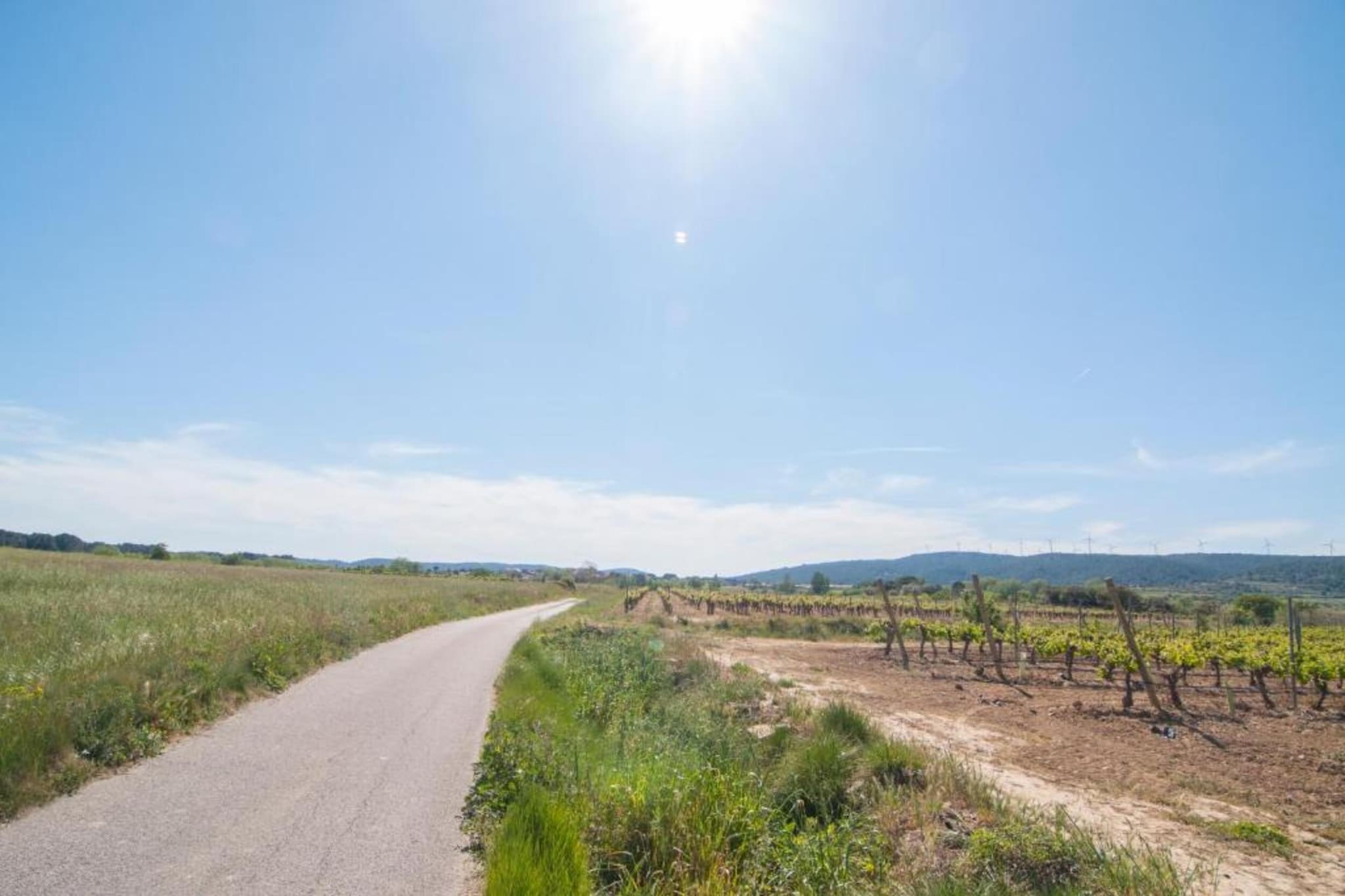 Fraissé-des-Corbières-Gebieden zomer 20km