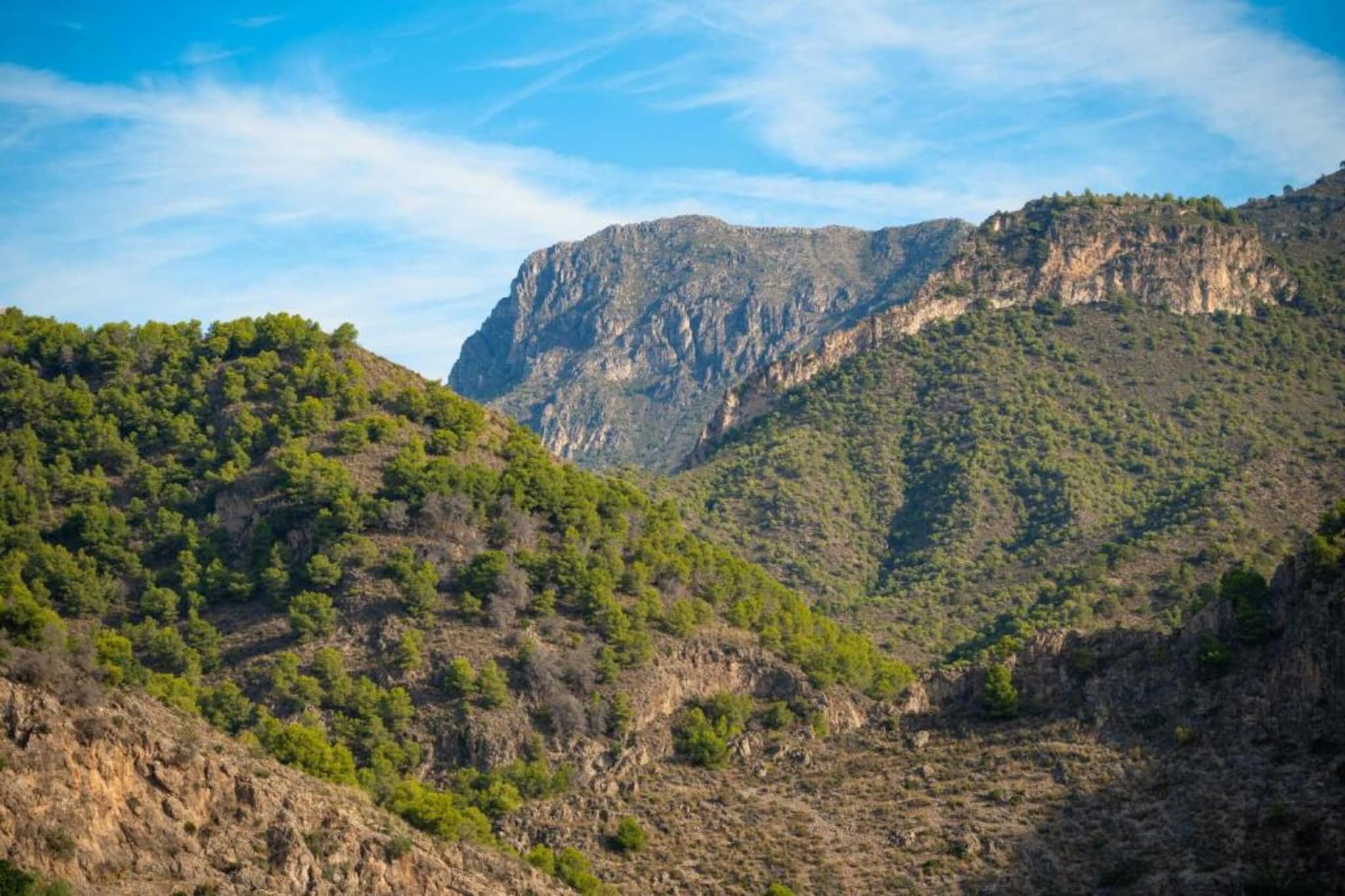 Cortijo Ricardo-Gebieden zomer 20km