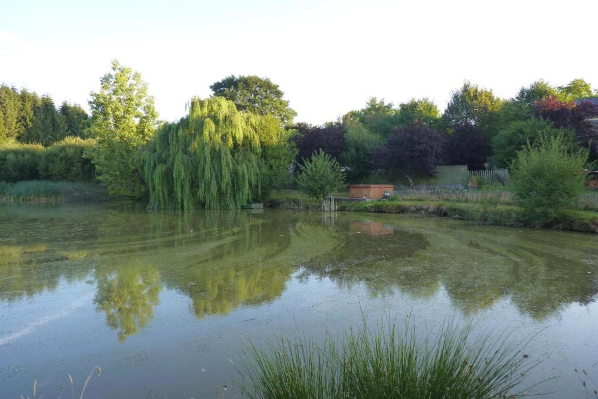 Maison de vacances - Sénezergues-Gebieden zomer 20km