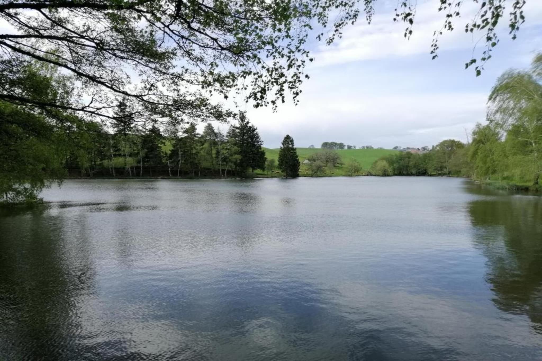 Maison de vacances - Sénezergues-Gebieden zomer 20km
