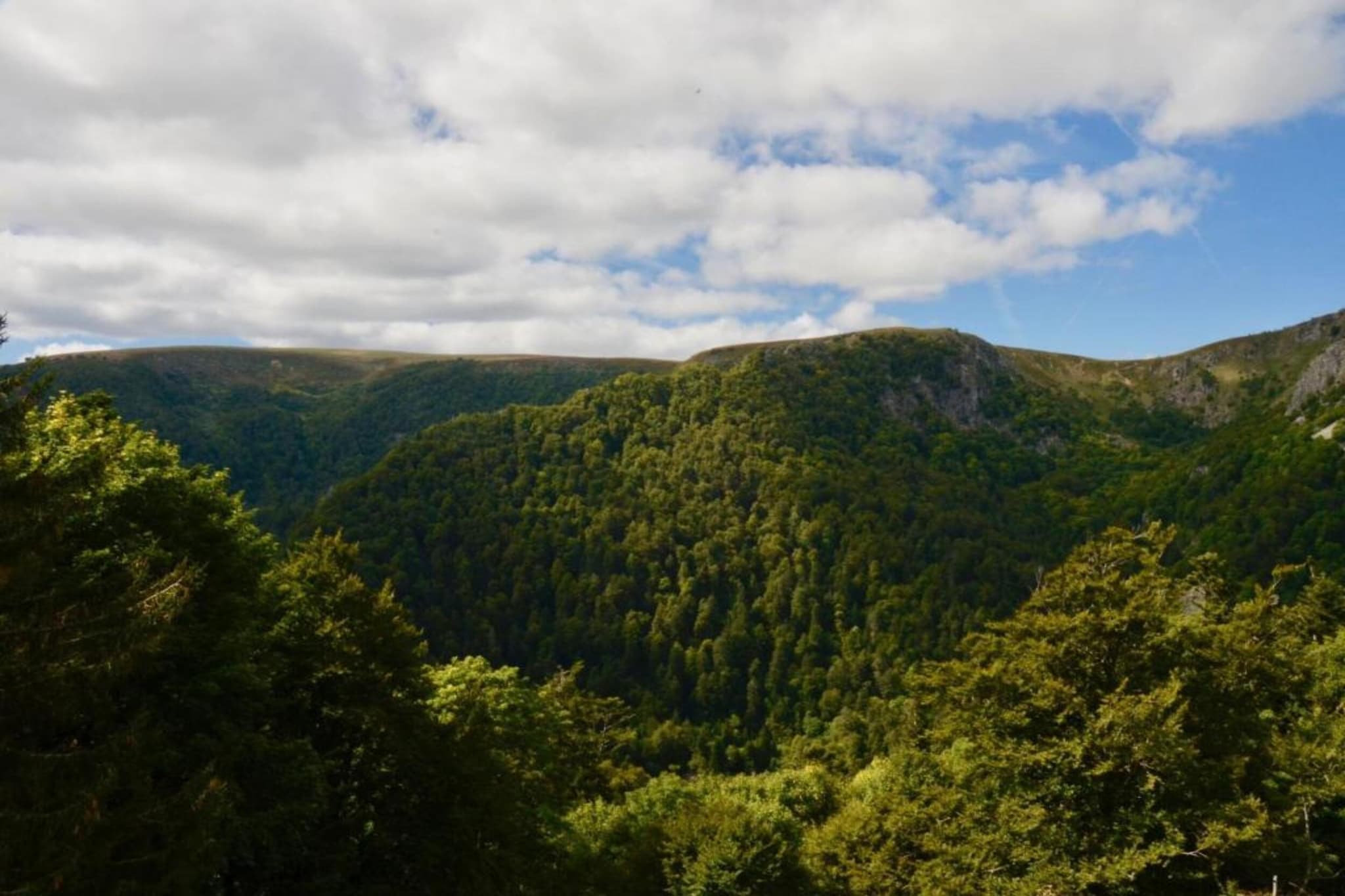 Maison de vacances - Sénezergues-Gebieden zomer 20km