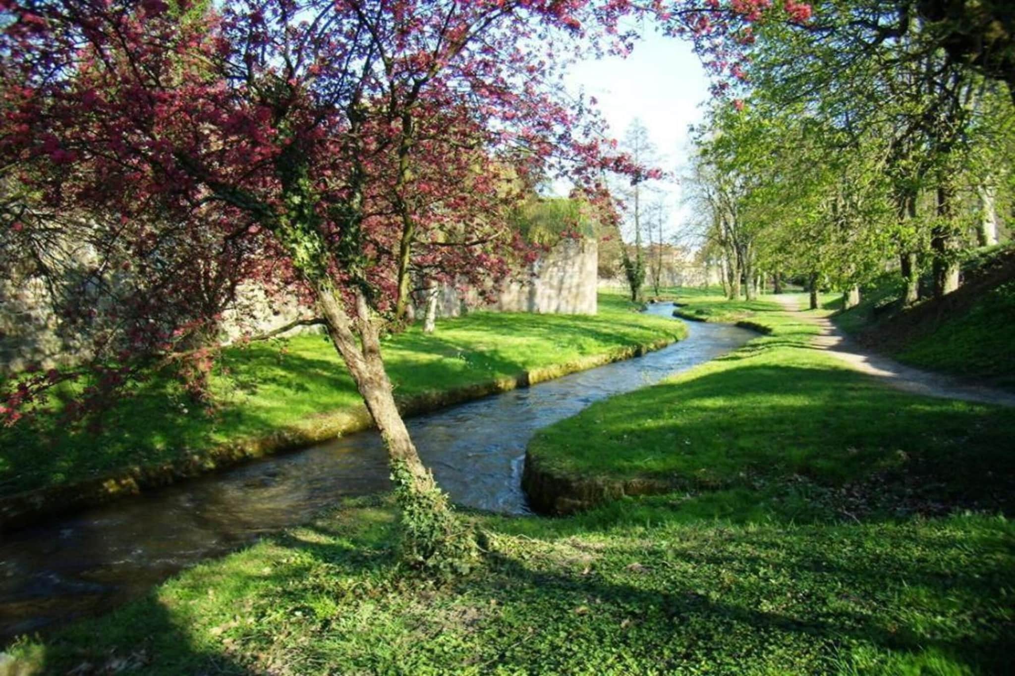 Maison de vacances - SCHLEITHAL-Gebieden zomer 20km