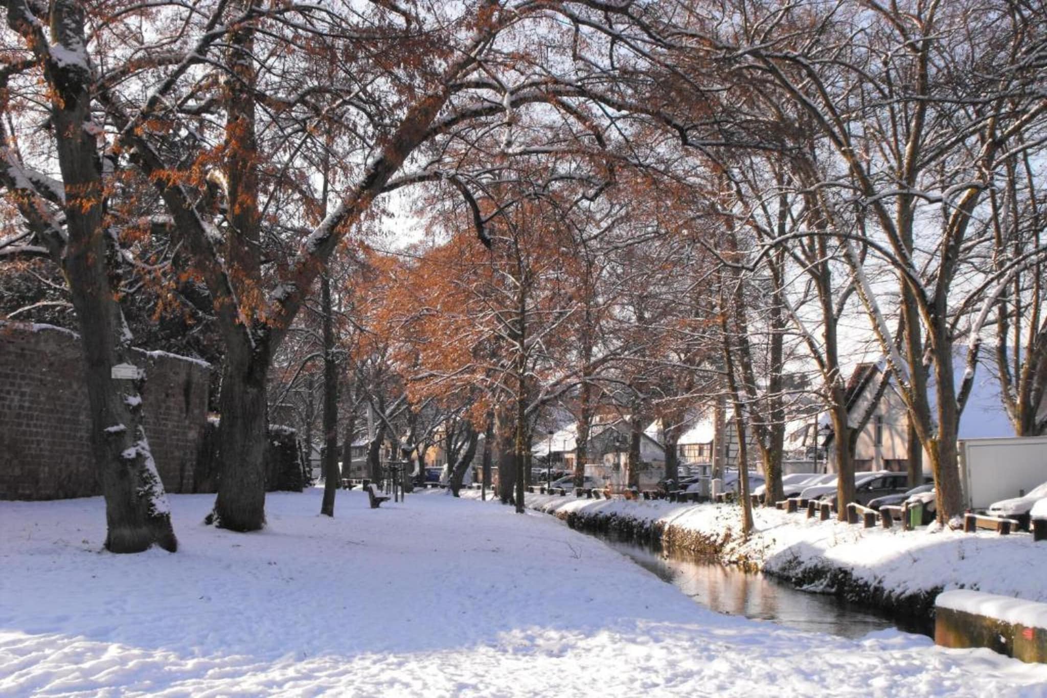 Maison de vacances - SCHLEITHAL-Gebied winter 20km