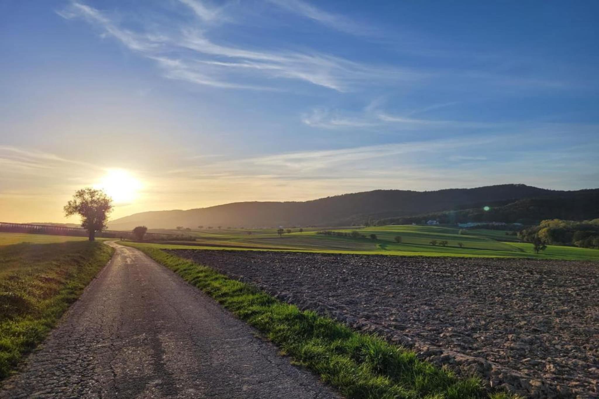 Maison de vacances - SCHLEITHAL-Gebieden zomer 20km