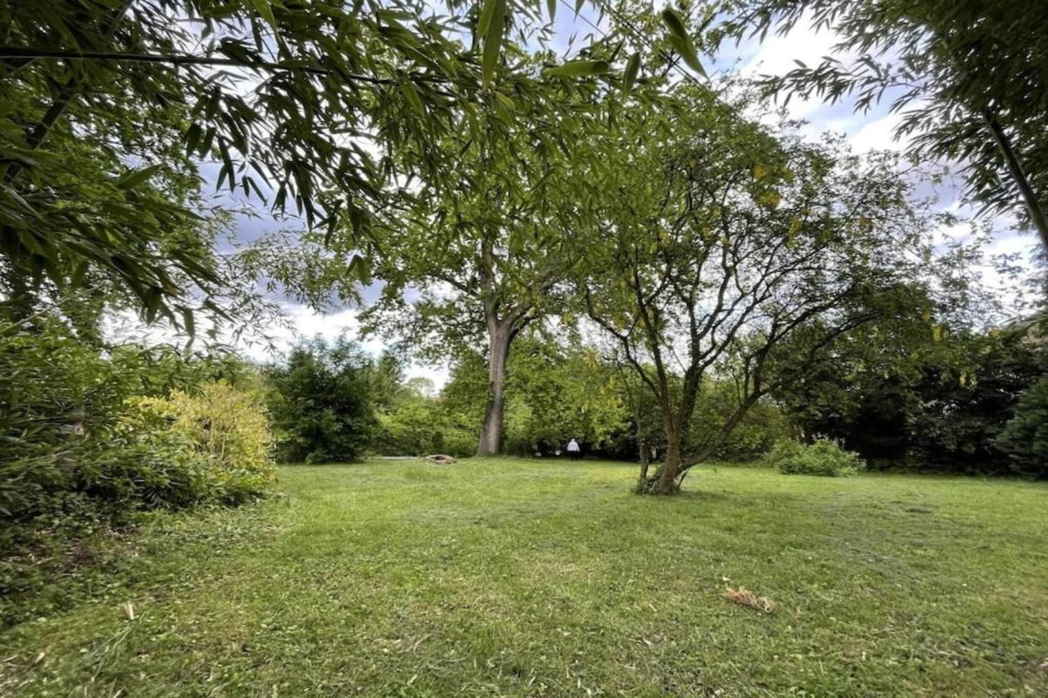 Maison de vacances - SCHLEITHAL-Gebieden zomer 20km