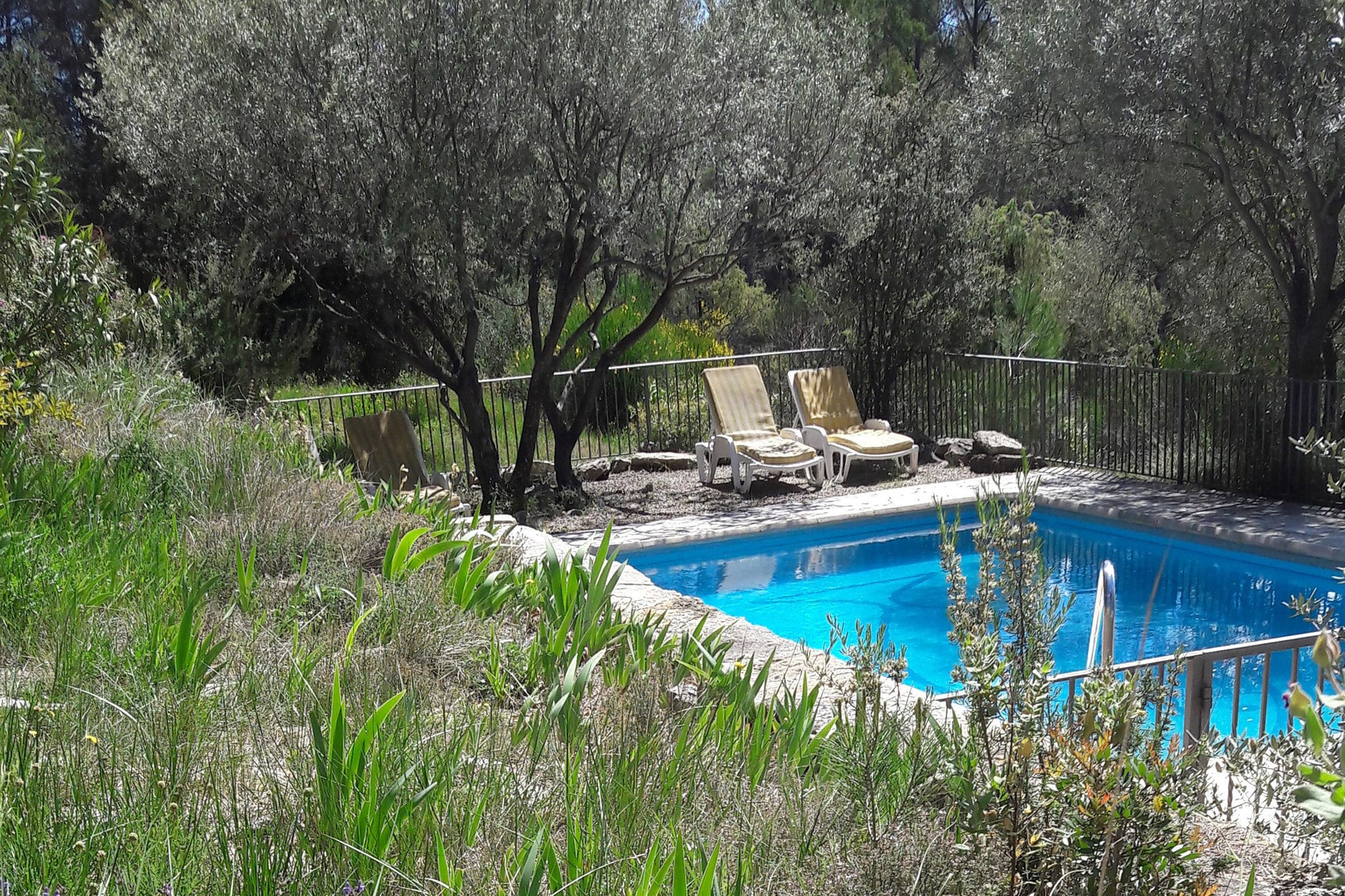 Cosy holiday home in Saint-Antonin-Du-Var with pool
