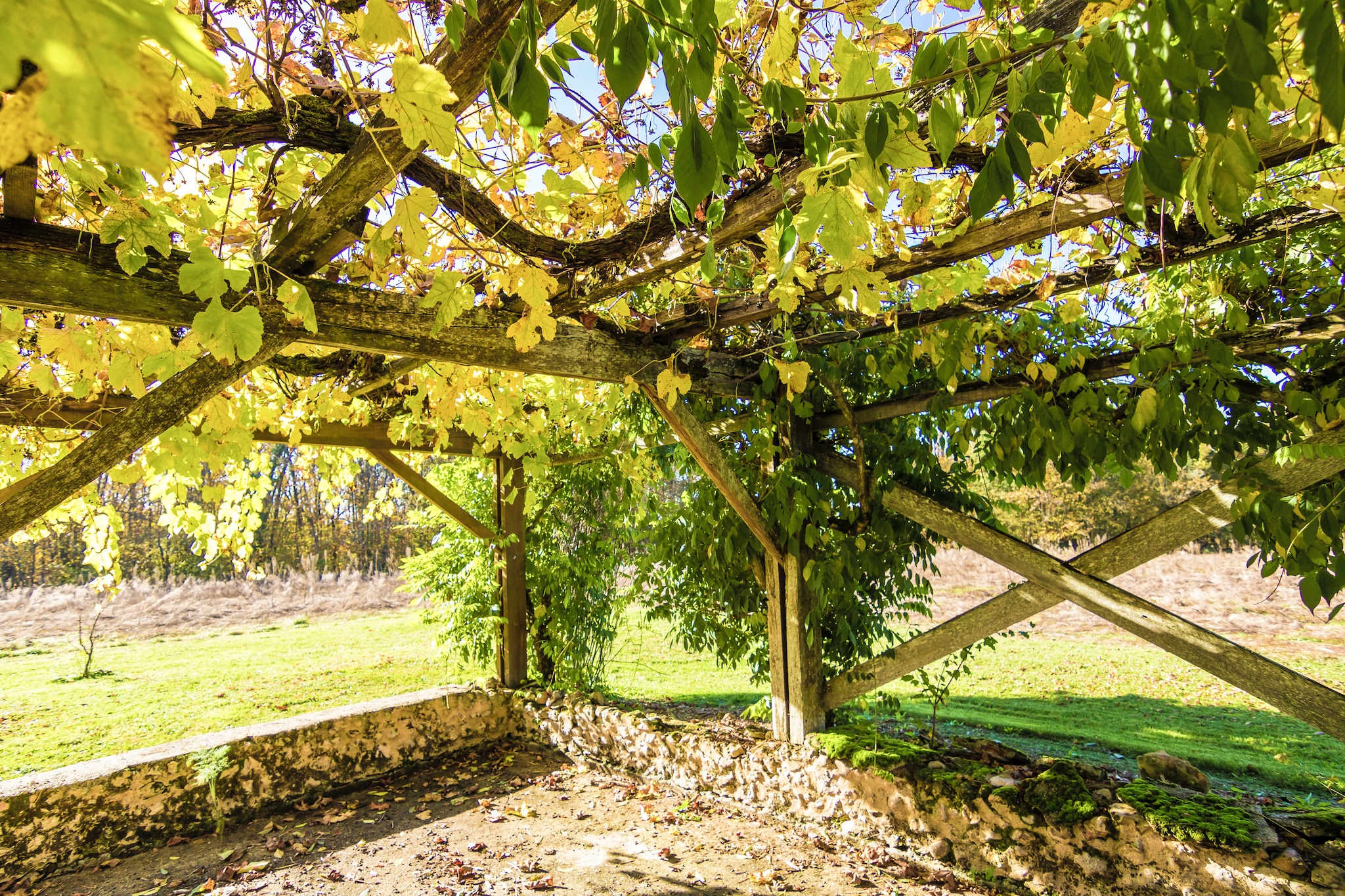 Luxueuse maison de vacances à Cendrieux avec abri de jardin