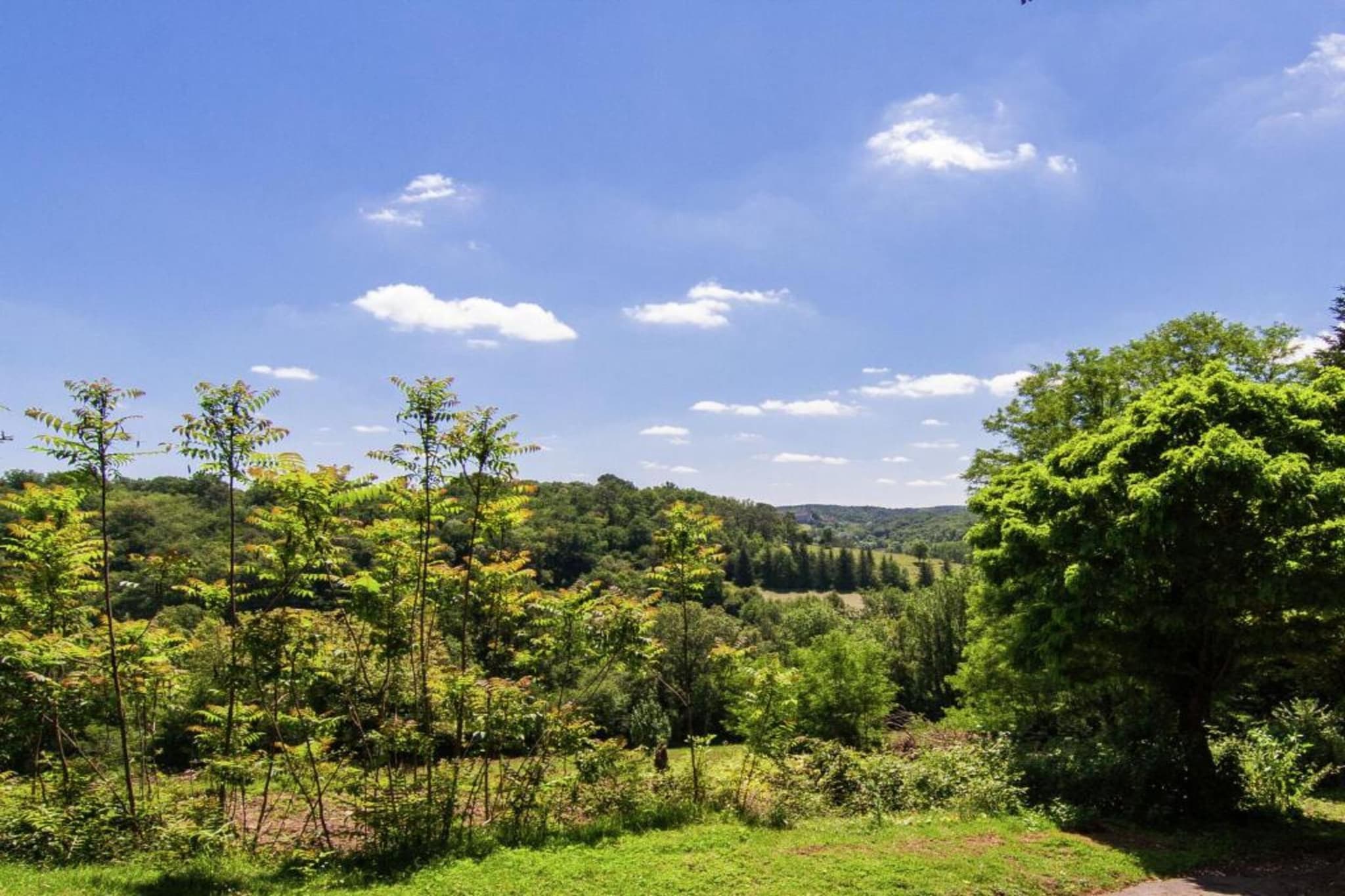 Cendrieux-Areas summer 20km