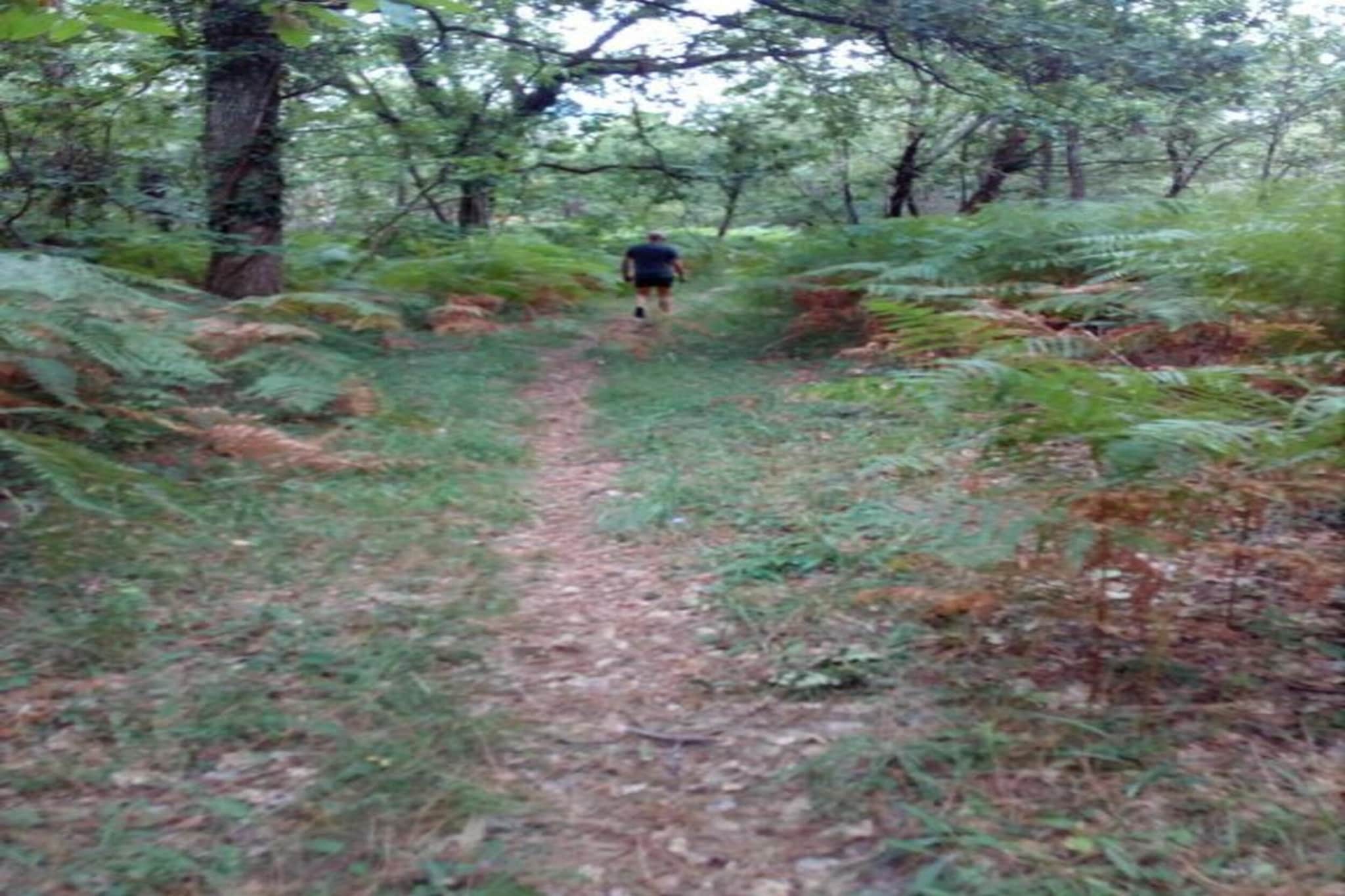 Cendrieux-Areas summer 20km