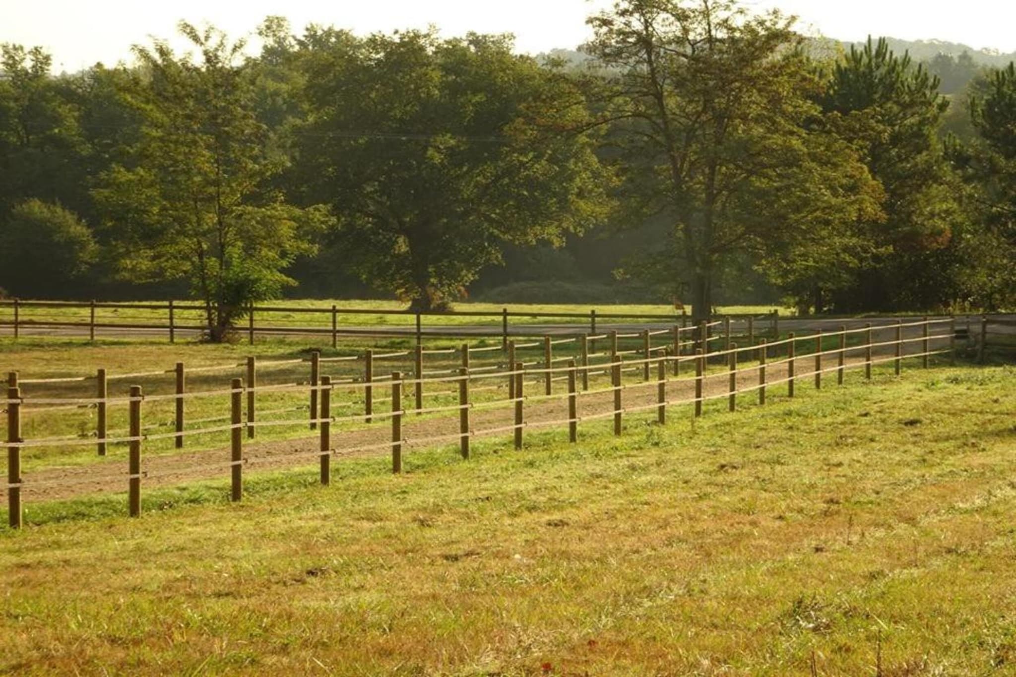 Cendrieux-Areas summer 20km