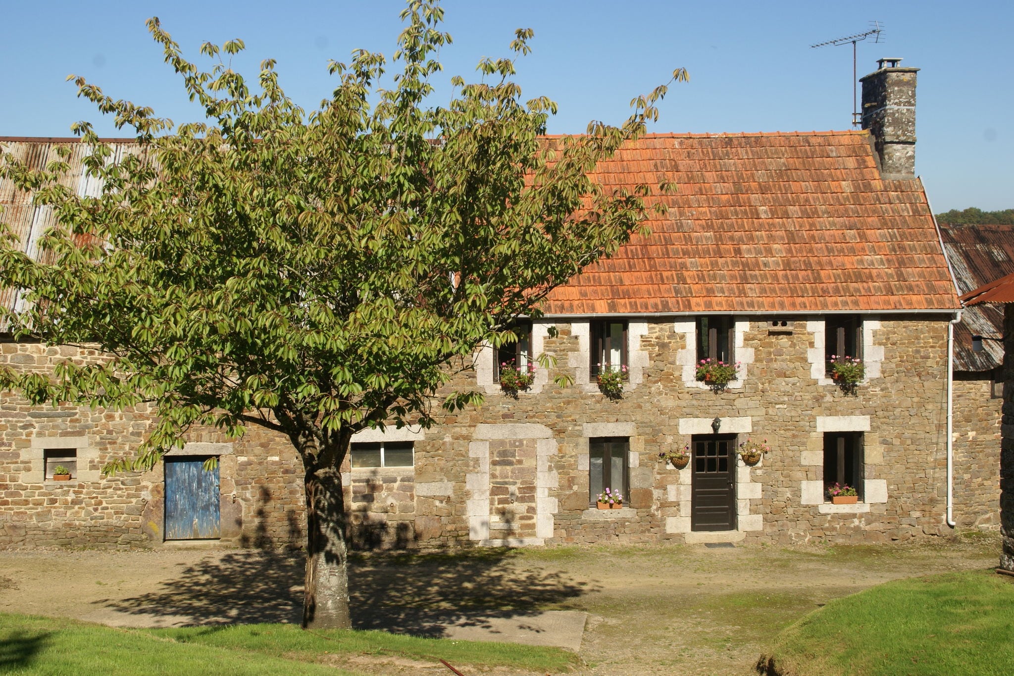 Schönes Ferienhaus inmitten von Wiesen in Sourdeval-les-Bois