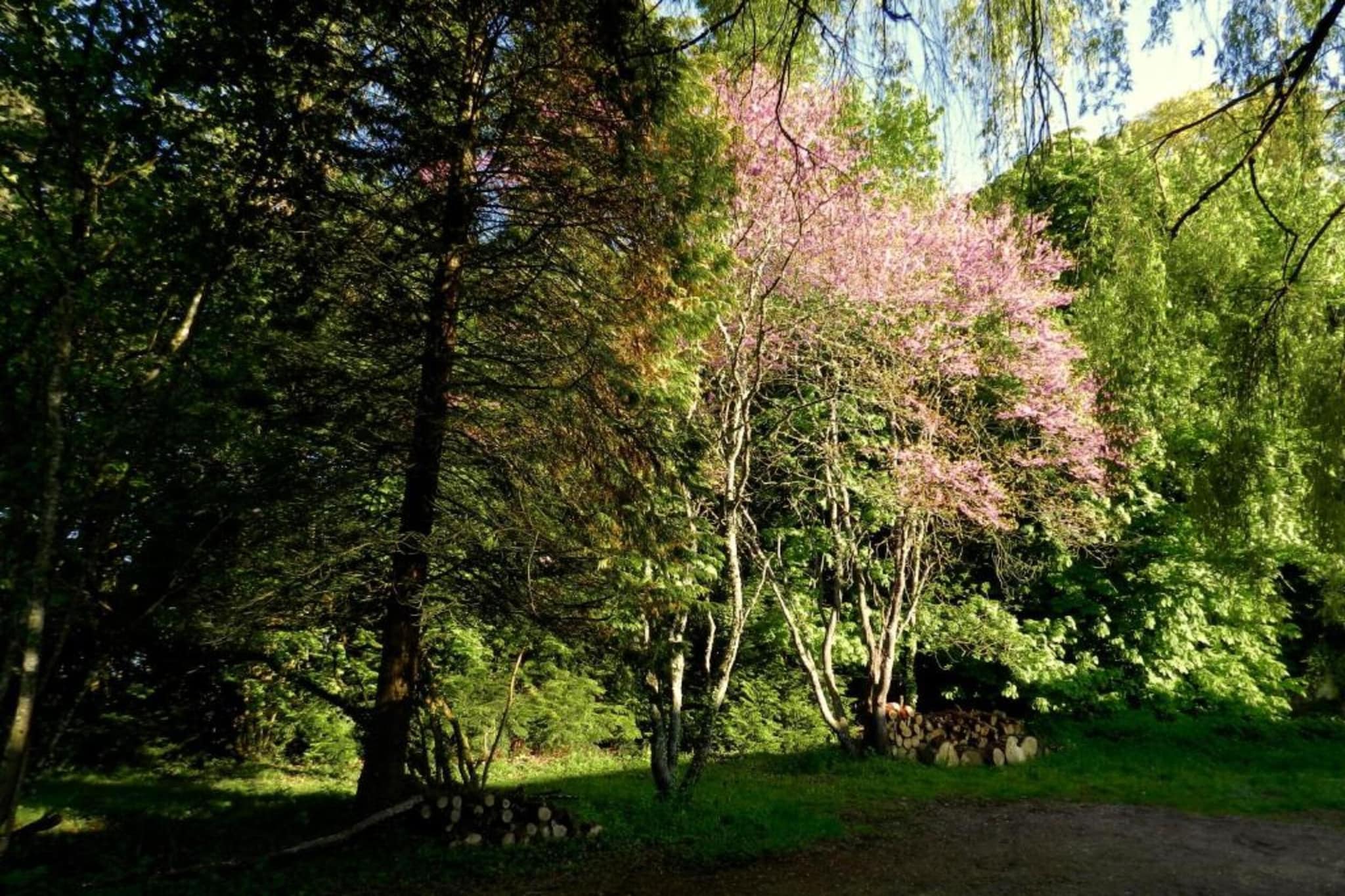 Maison de vacances Diges-Gebieden zomer 5km