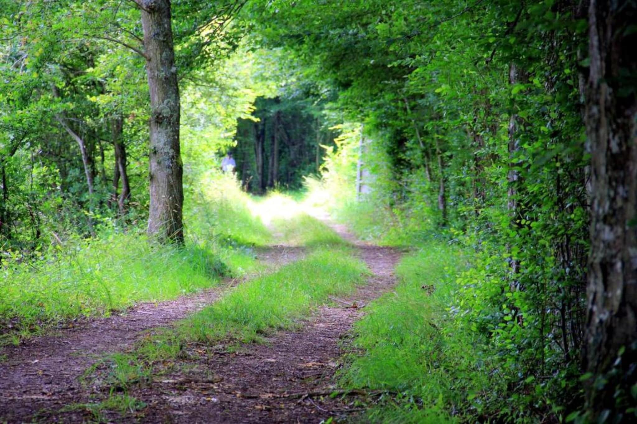 Maison de vacances Diges-Gebieden zomer 5km