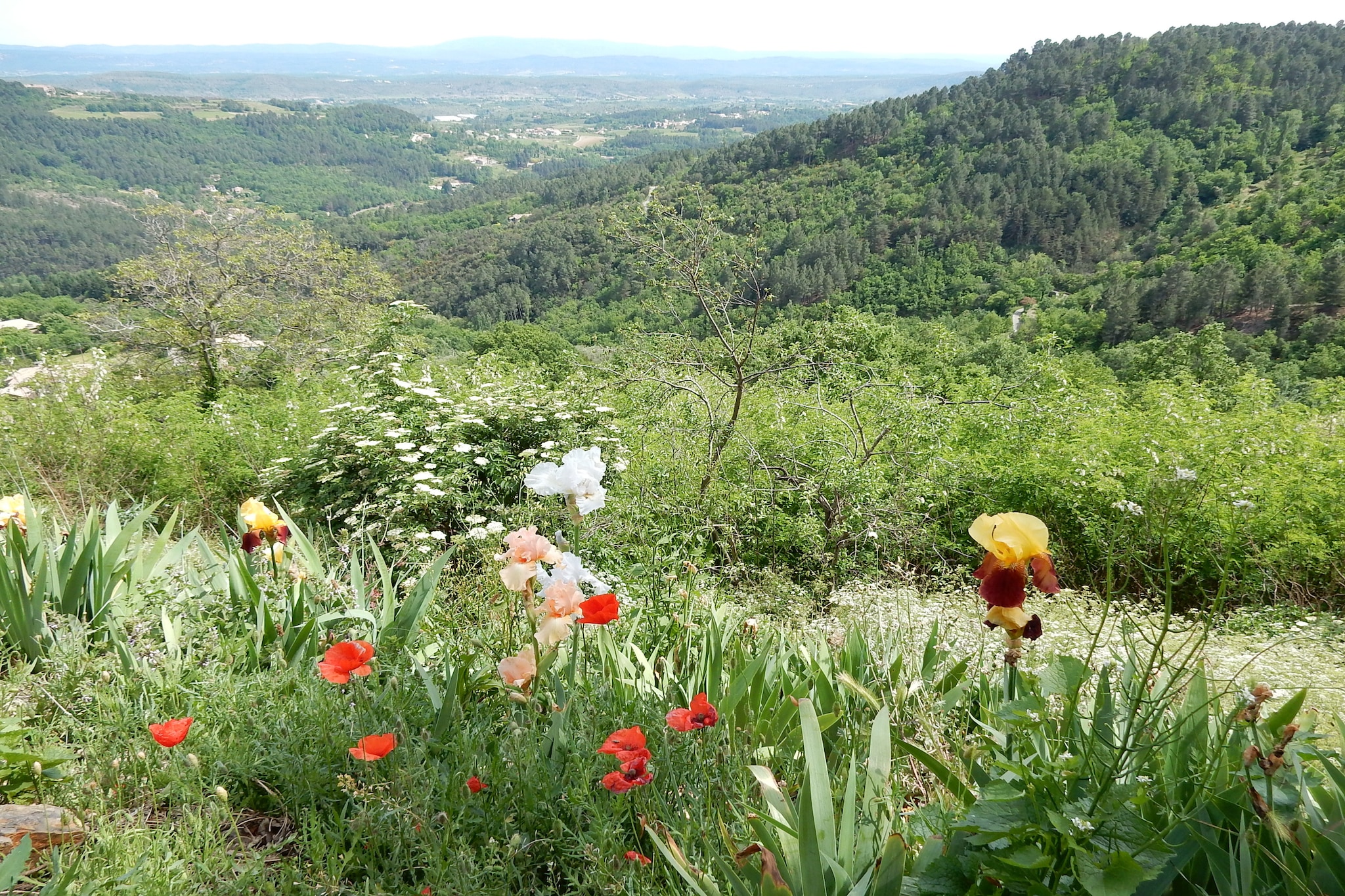 Villa Chassiers petit-Uitzicht zomer