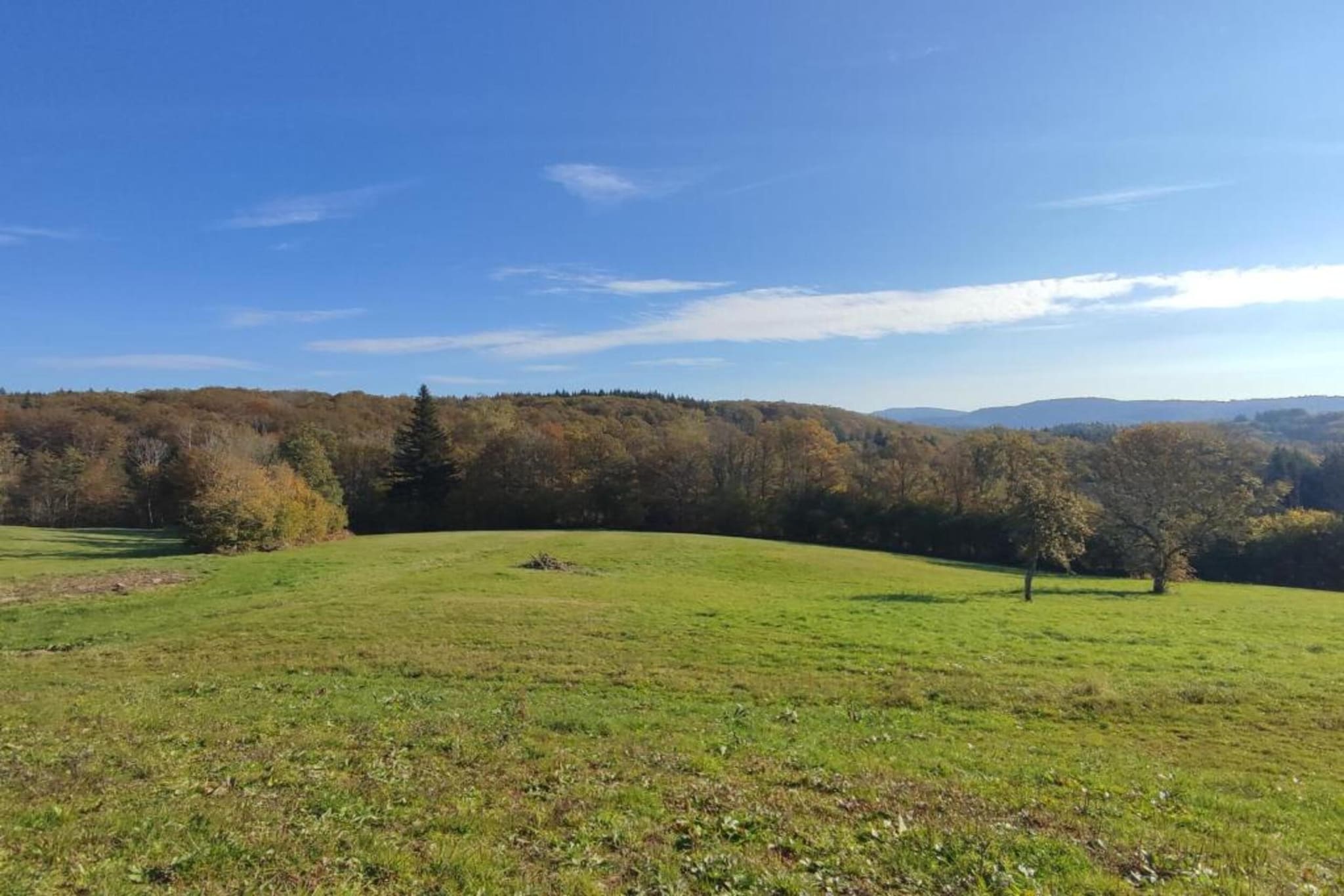 Maison de vacances - ESMOULIÈRES-Gebieden zomer 5km