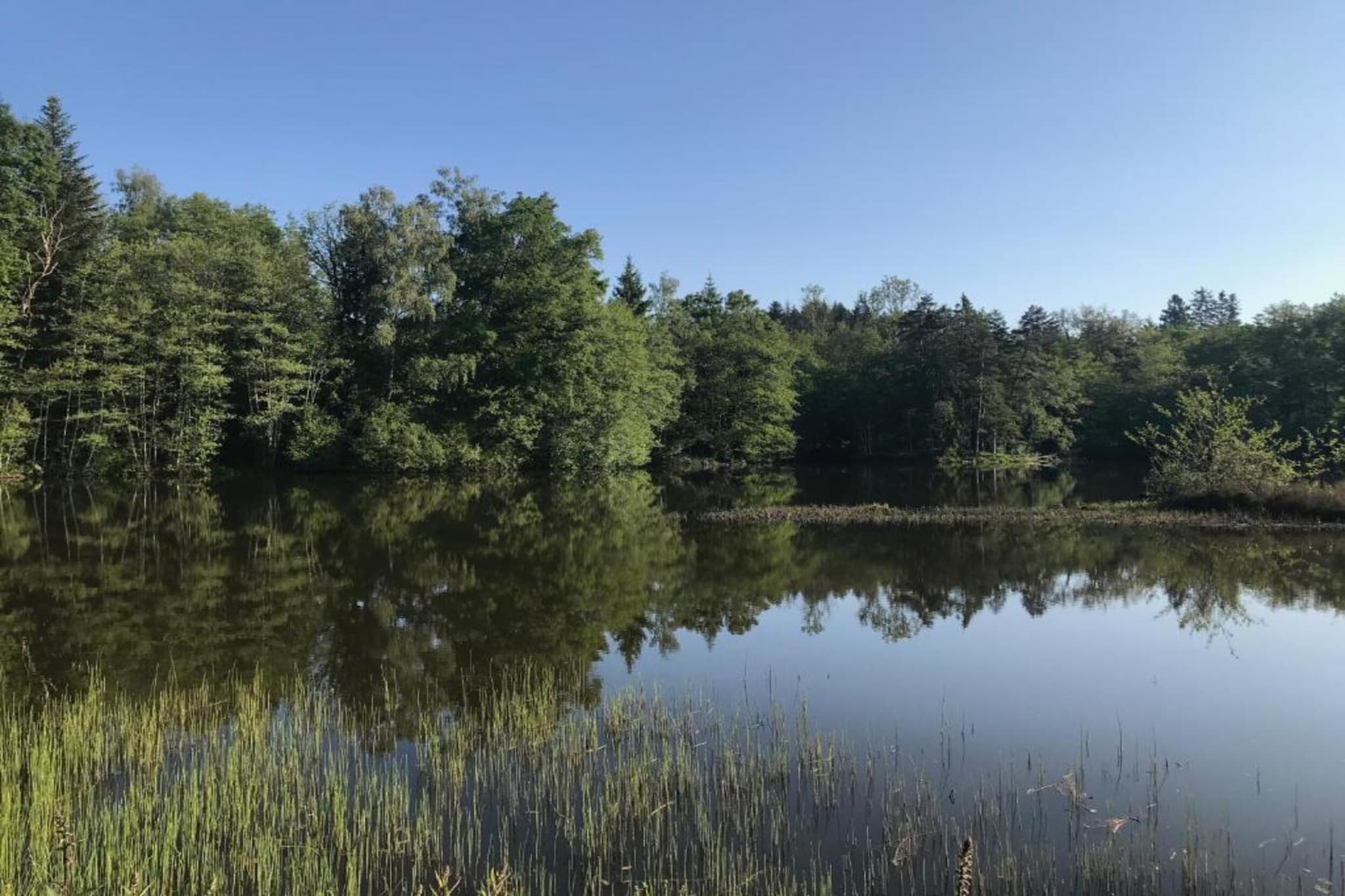 Maison de vacances - ESMOULIÈRES-Gebieden zomer 5km
