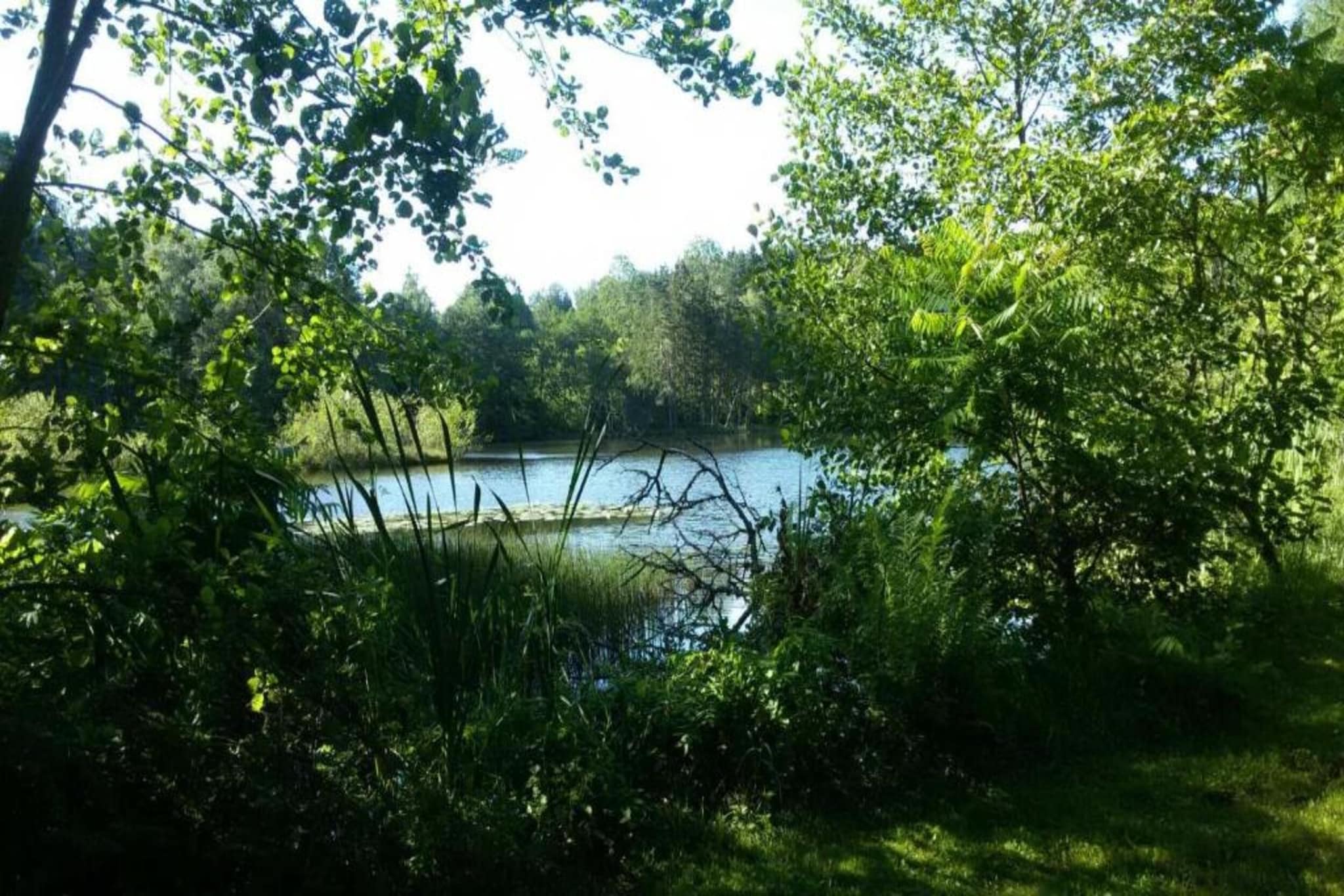 Maison de vacances - ESMOULIÈRES-Gebieden zomer 5km