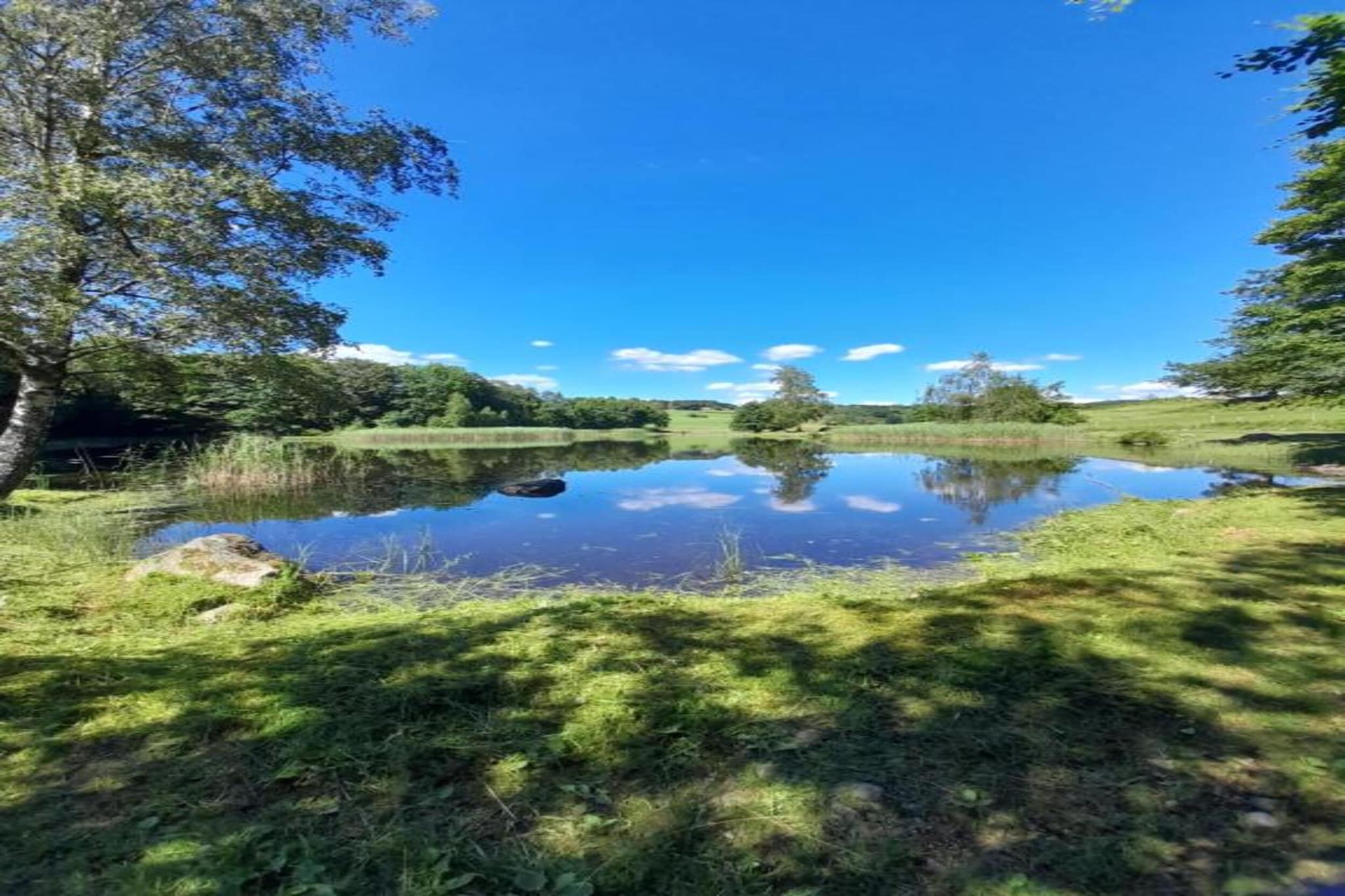 Maison de vacances - ESMOULIÈRES-Gebieden zomer 5km