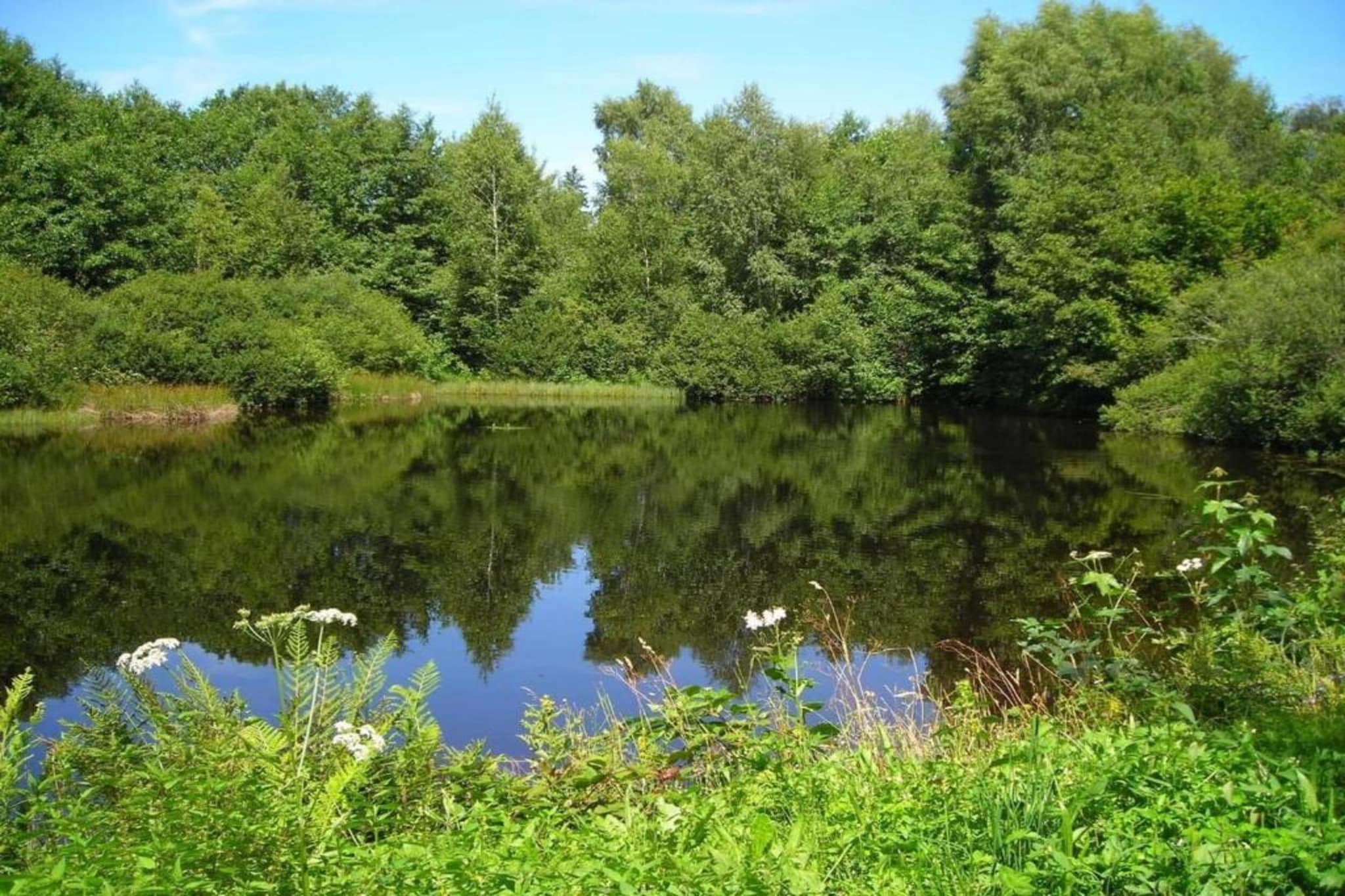 Maison de vacances - ESMOULIÈRES-Gebieden zomer 5km